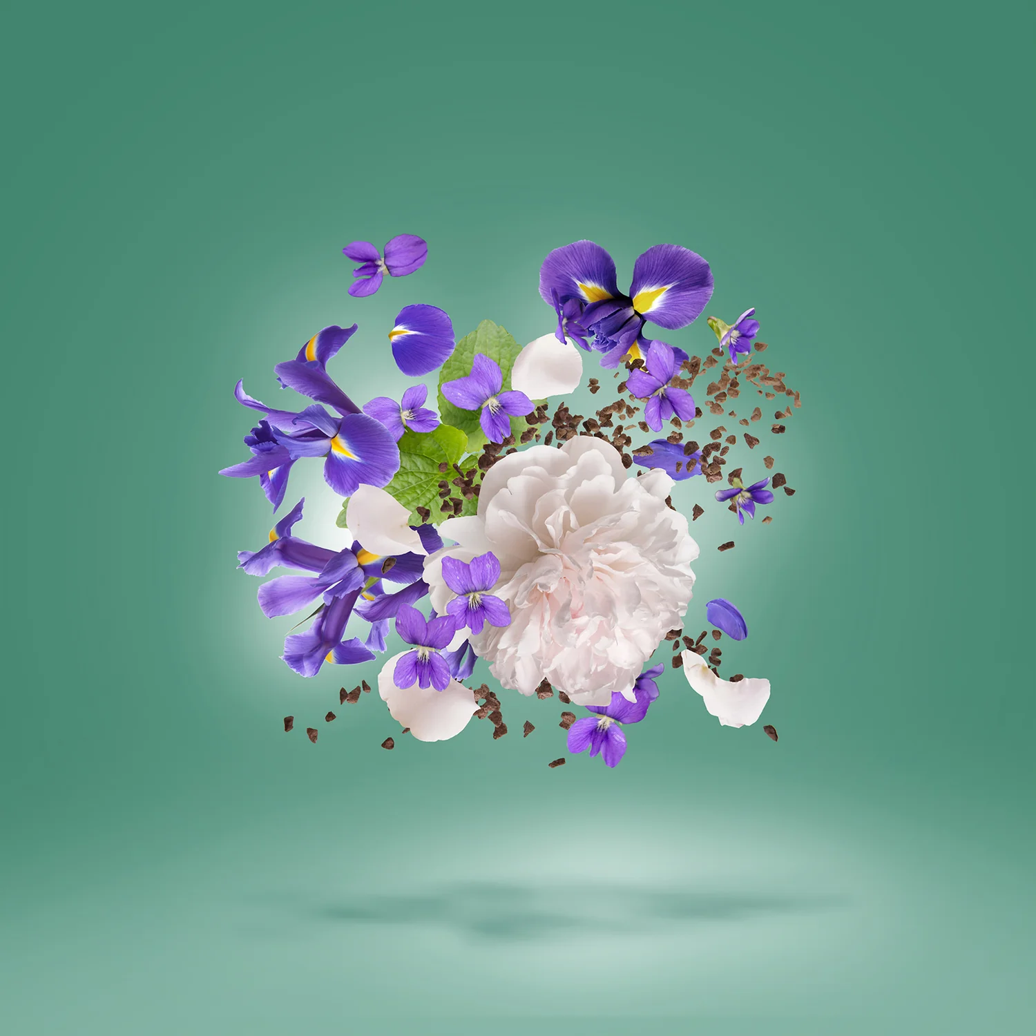 IRISSS - xerjoff-irisss-notes.webp