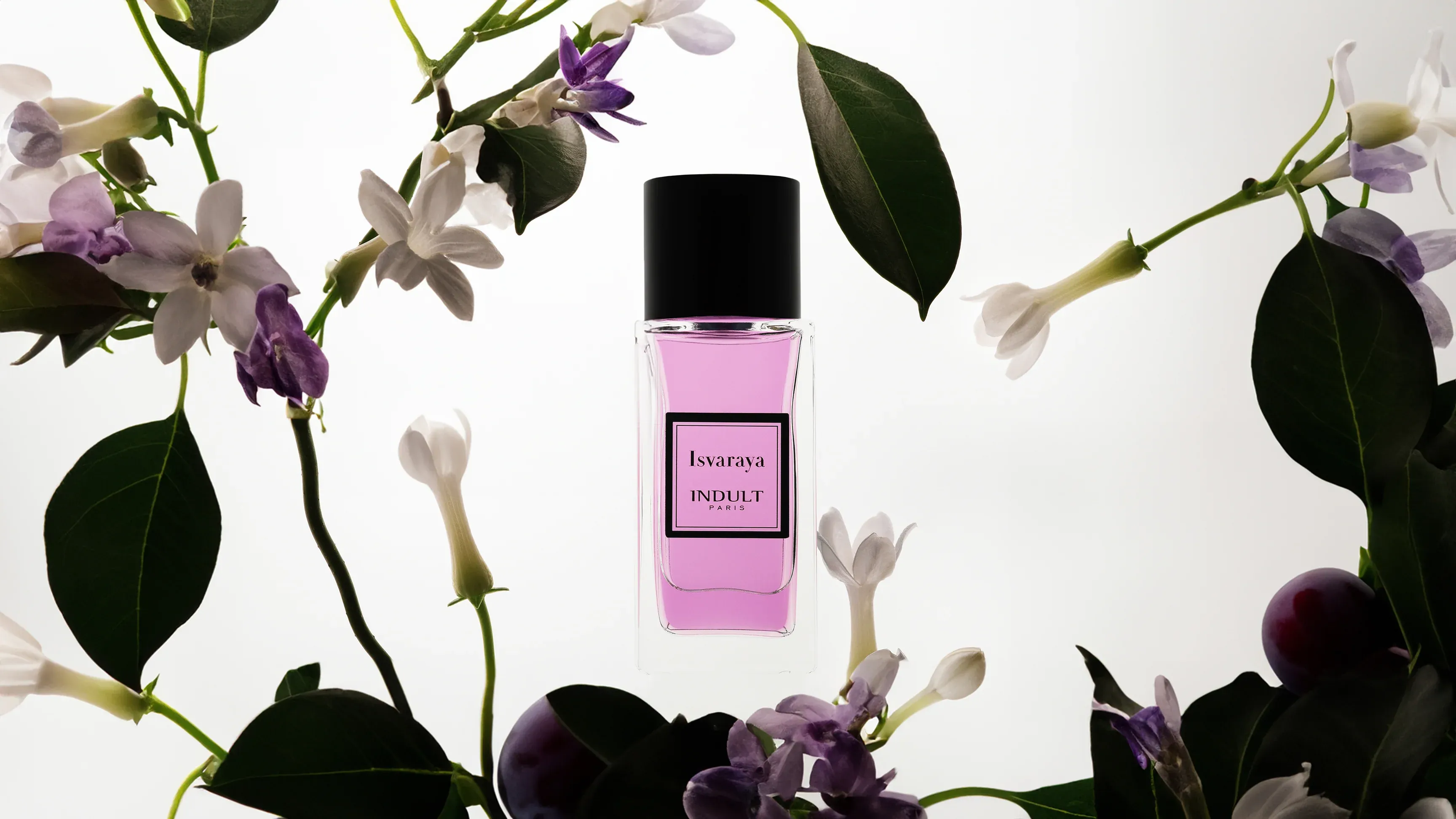 ISVARAYA - imgi_7_modif_3456x1952.webp