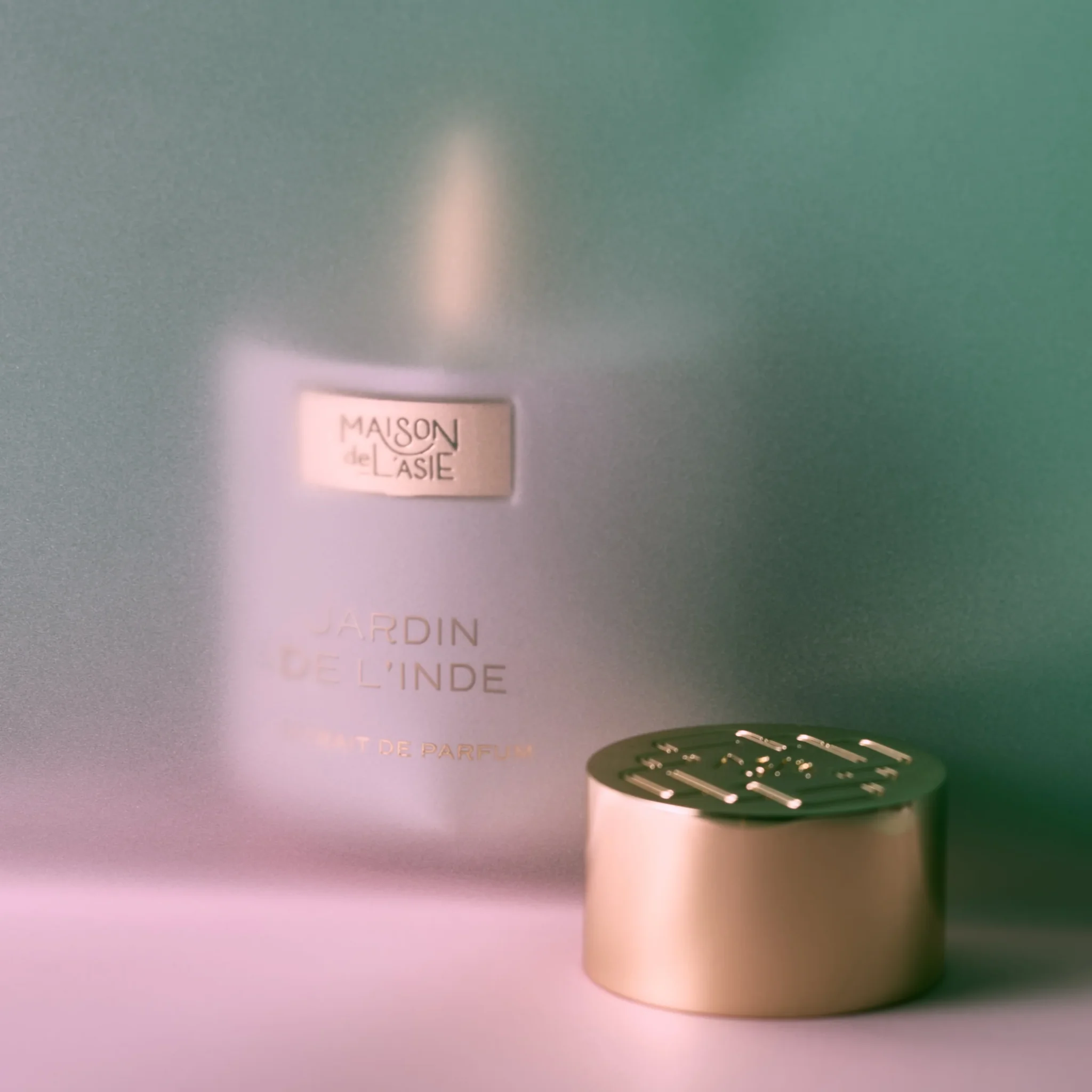 JARDIN DE L'INDE - JD_WEB_4.webp