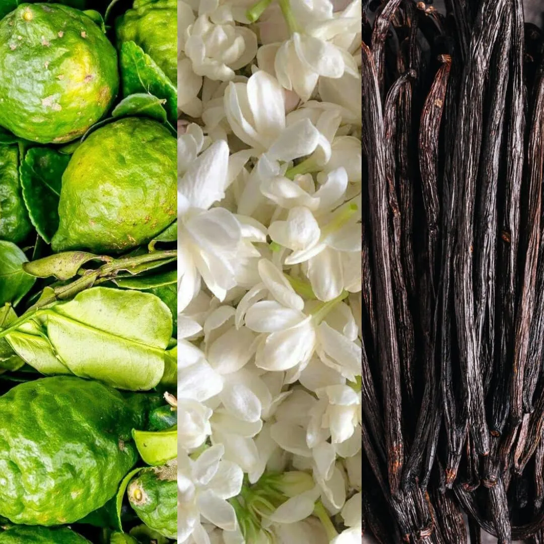 JASMIN KAMA - 33.jpg