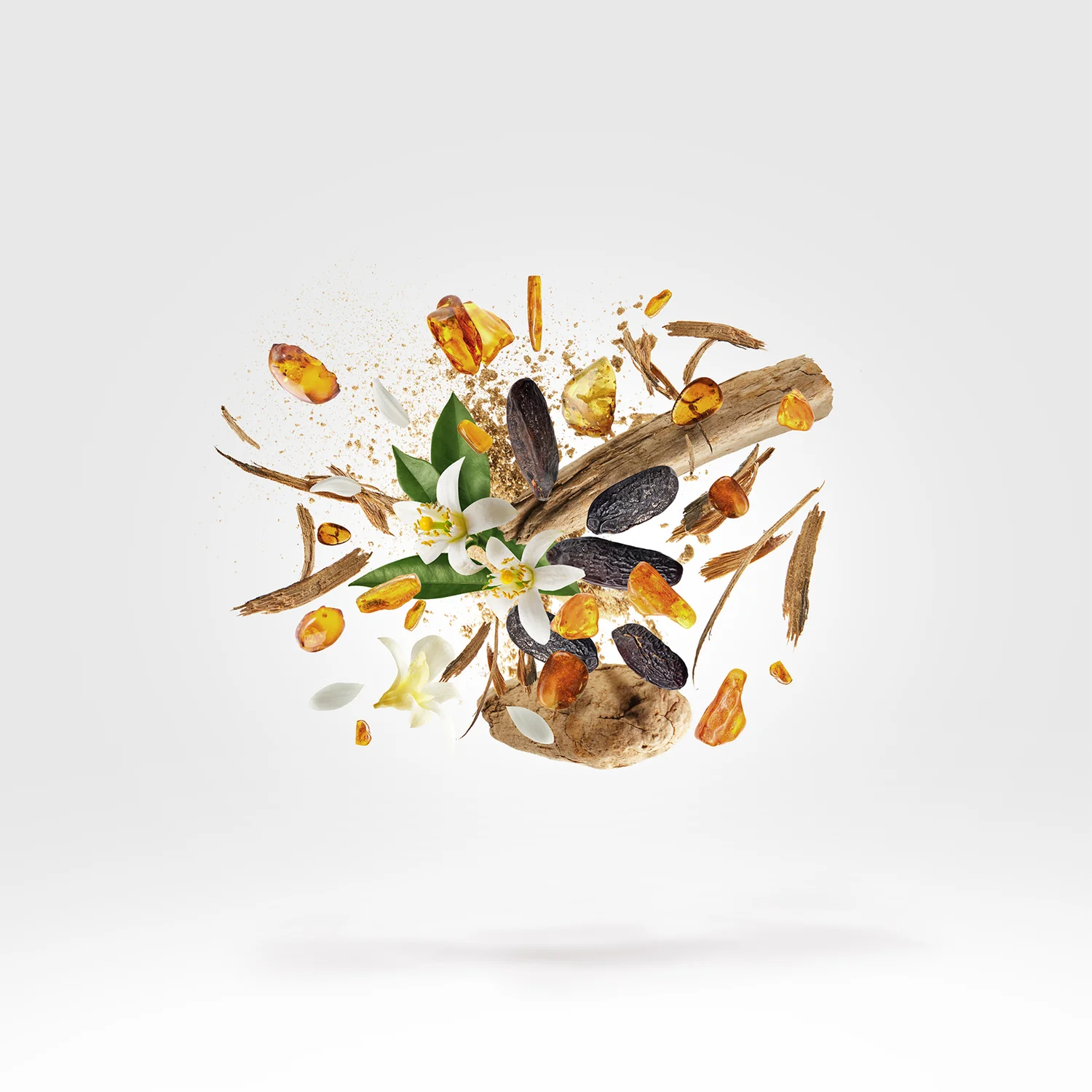 KOBE - xerjoff-kobe-notes.webp