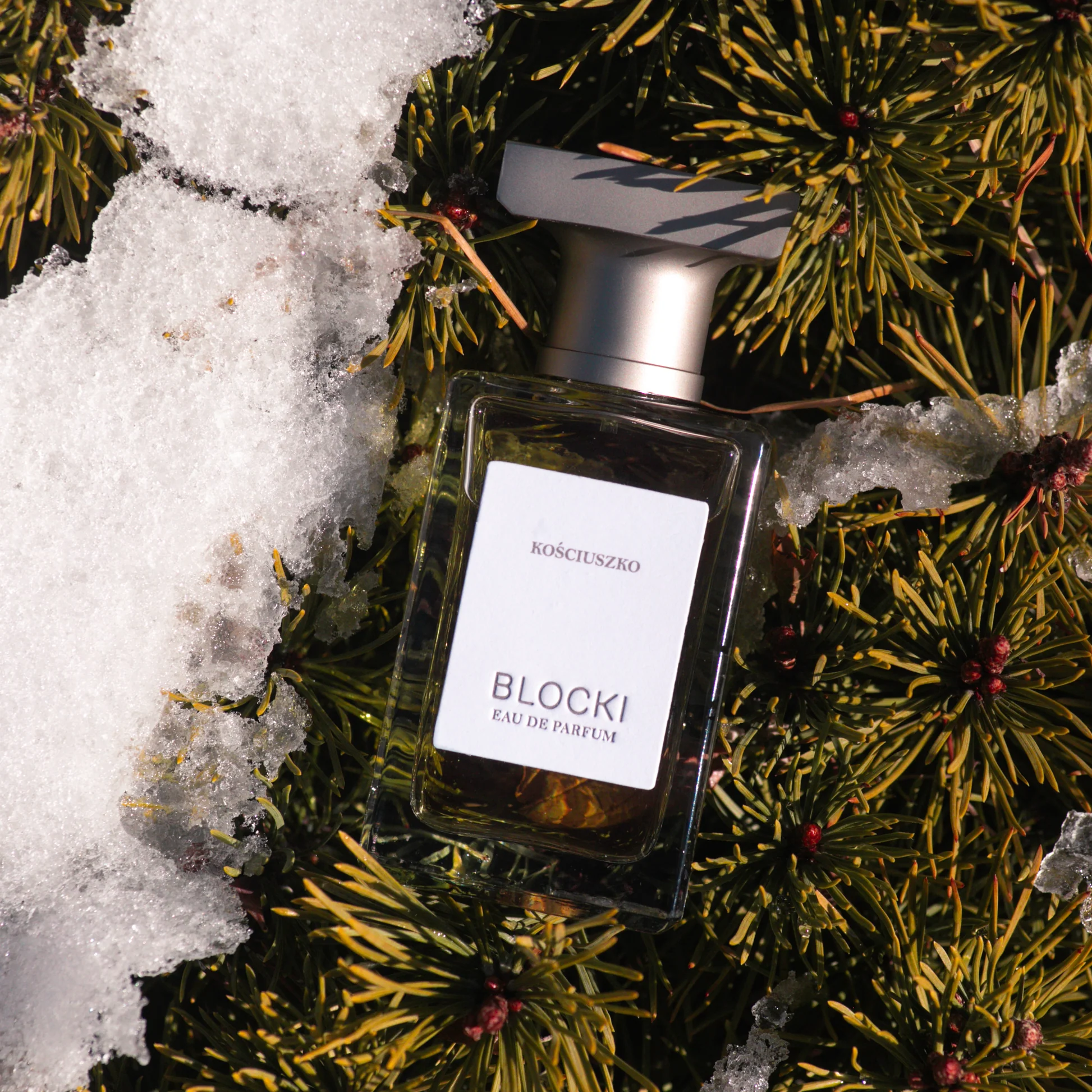 KOSCIUSZKO - Kosciuszko.webp