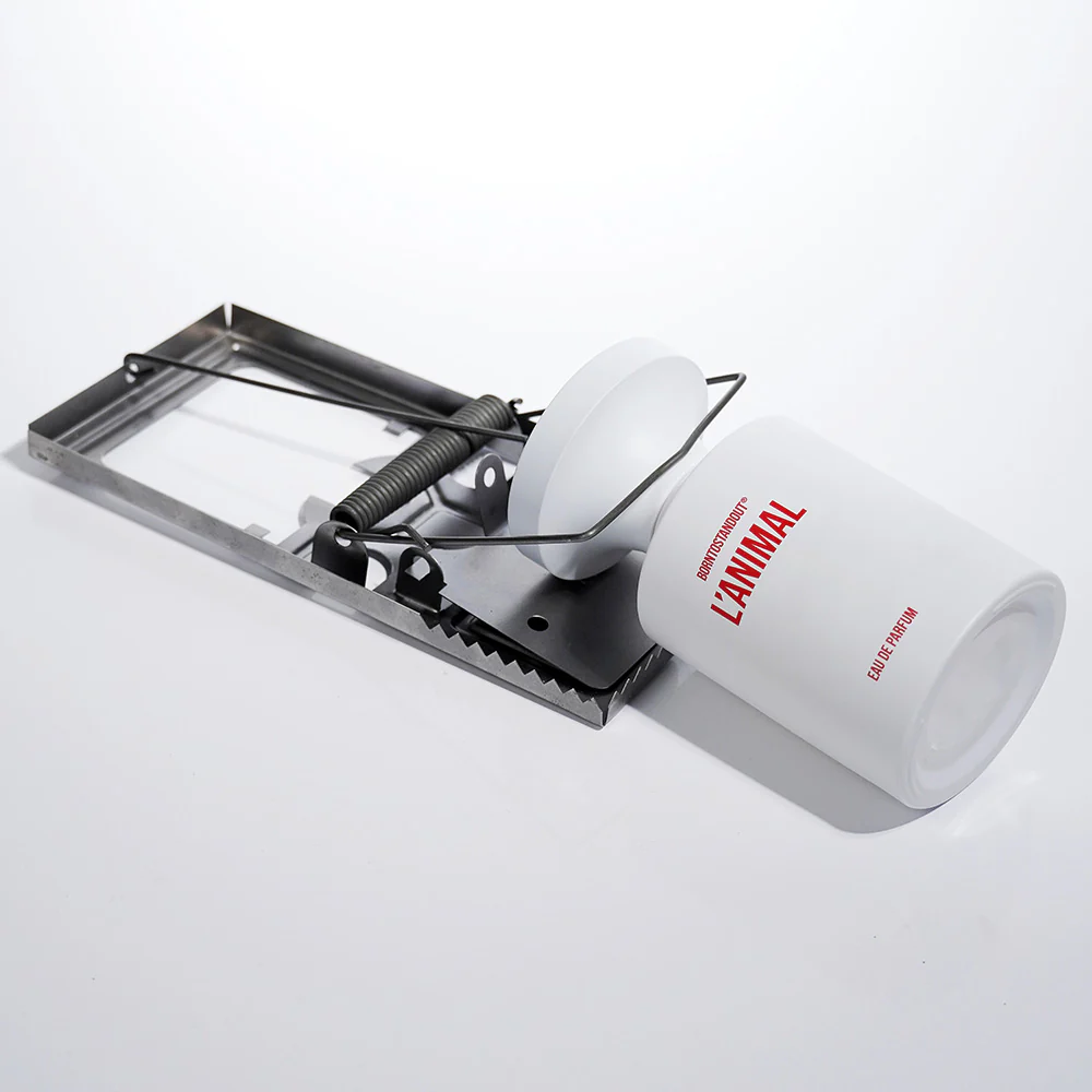 L'ANIMAL - grid01_2a7c1ce5-8eca-4639-ba92-dd4eb26326c1.webp