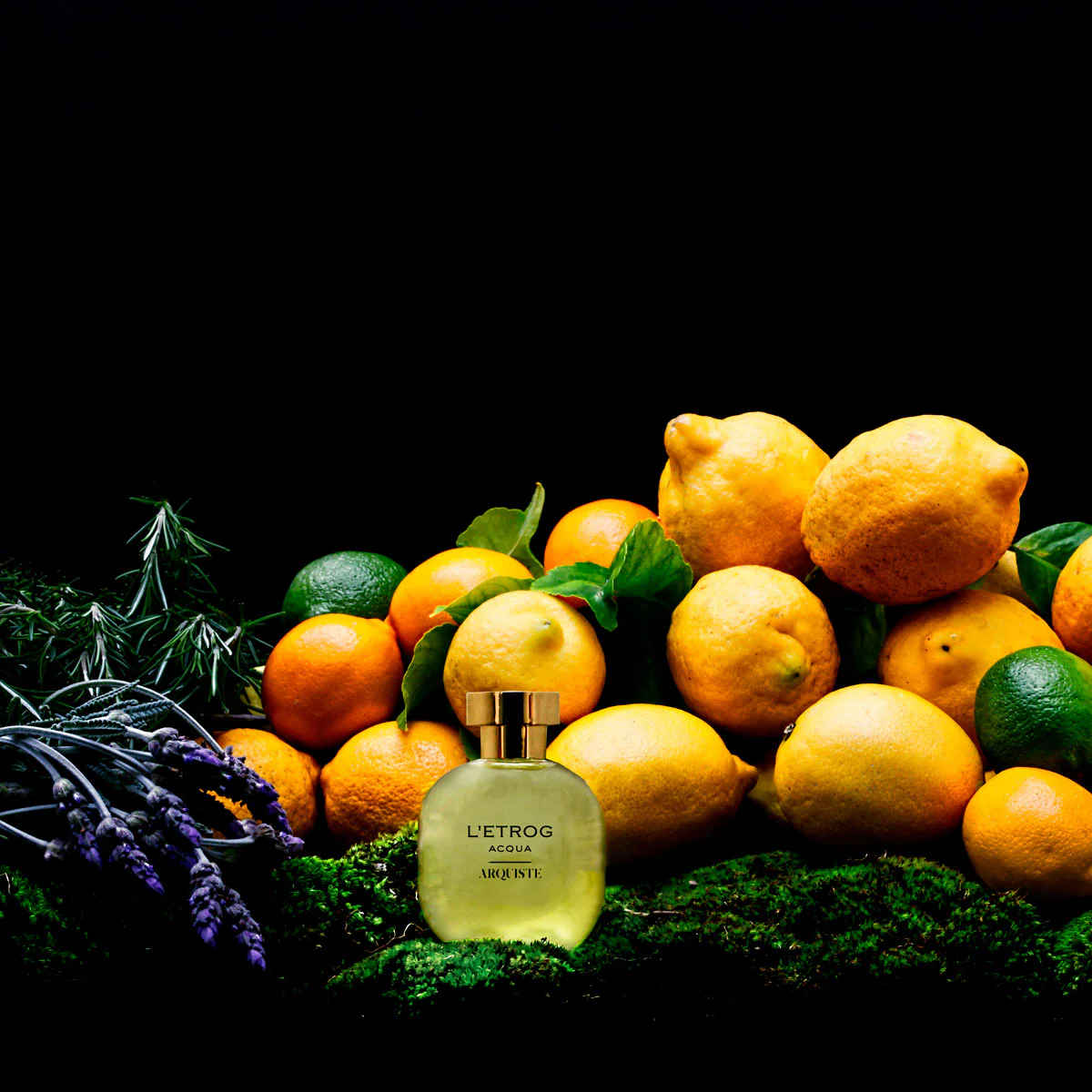 L'ETROG ACQUA - 11.-letrogAcqua_1024x1024@2x.webp