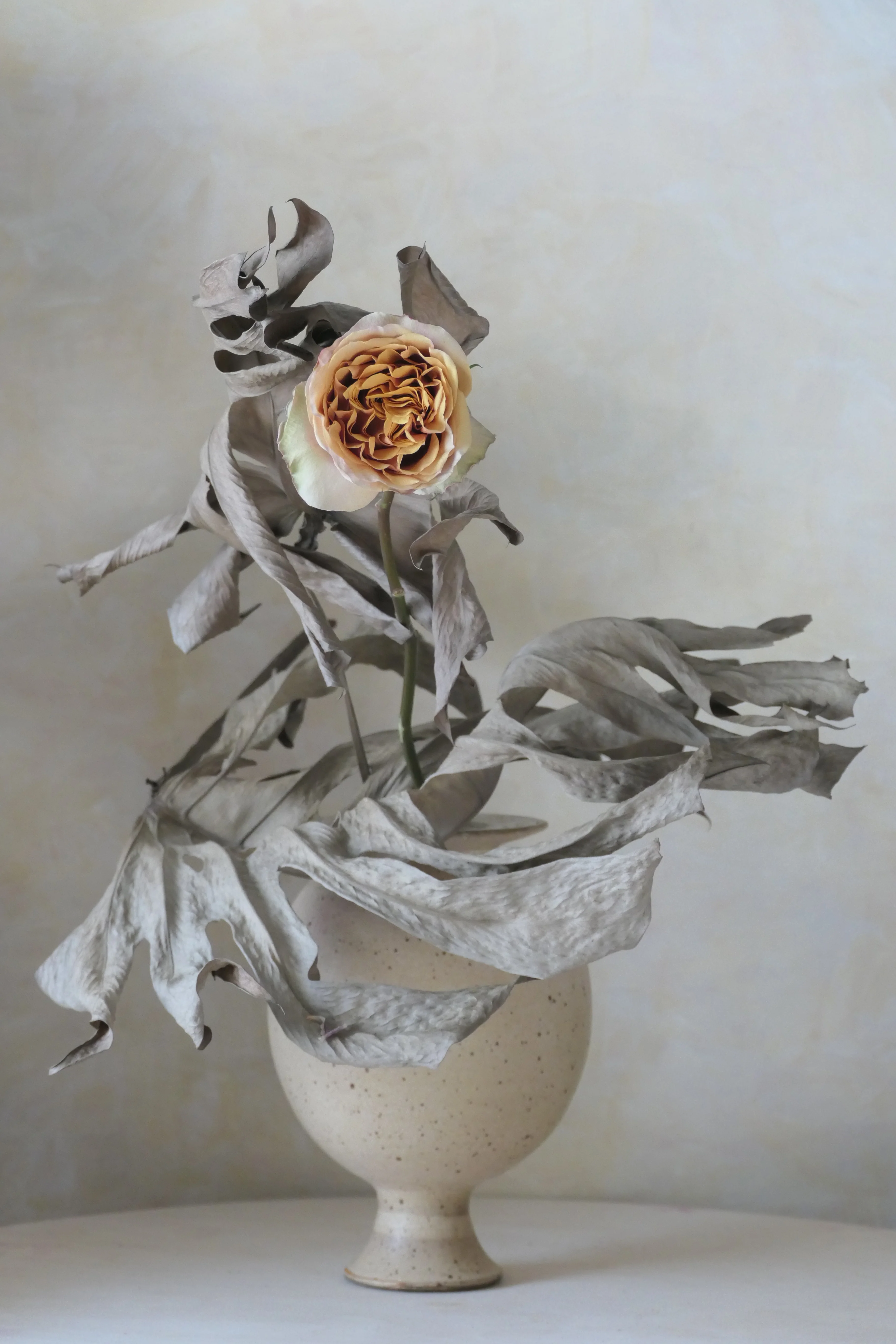 LA-BÀS - L2246252.webp