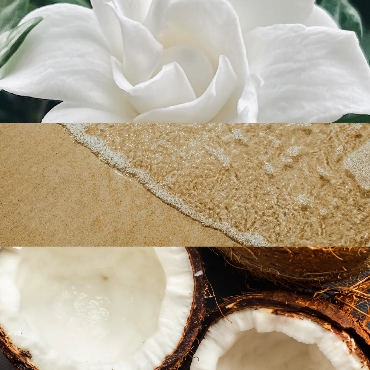 LA MAR - LAMIngredients_1296x.webp