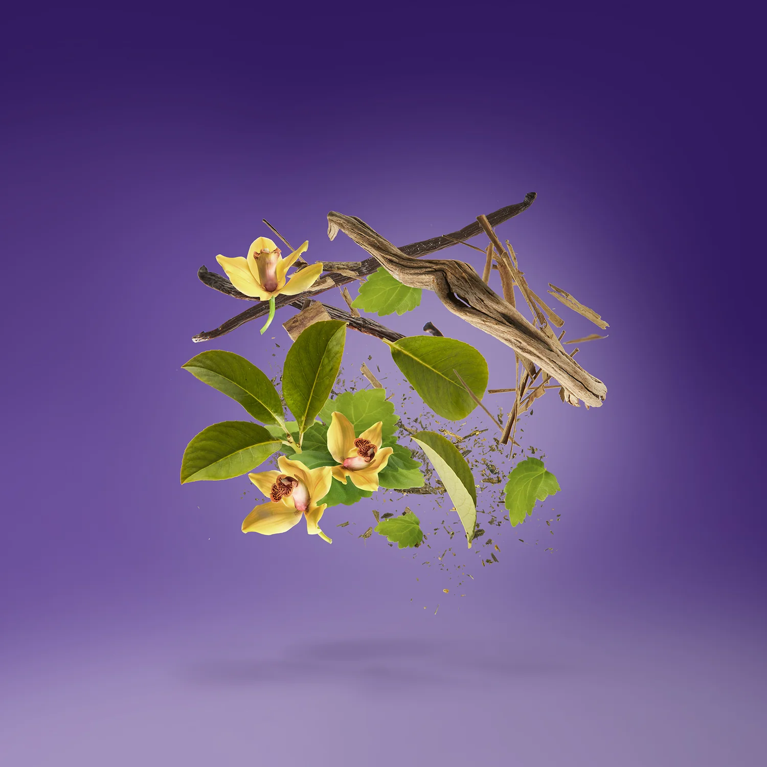 LAYLATI - xerjoff-laylati-notes.webp