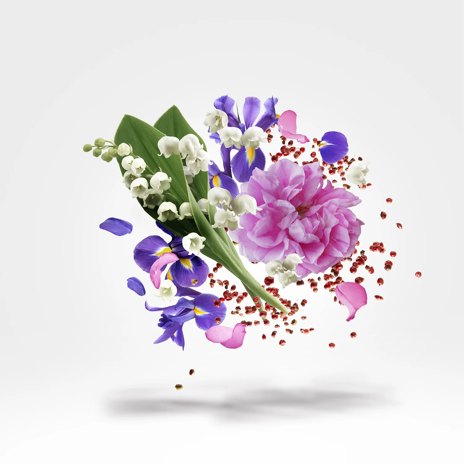 LUA - xerjoff-lua-notes.webp