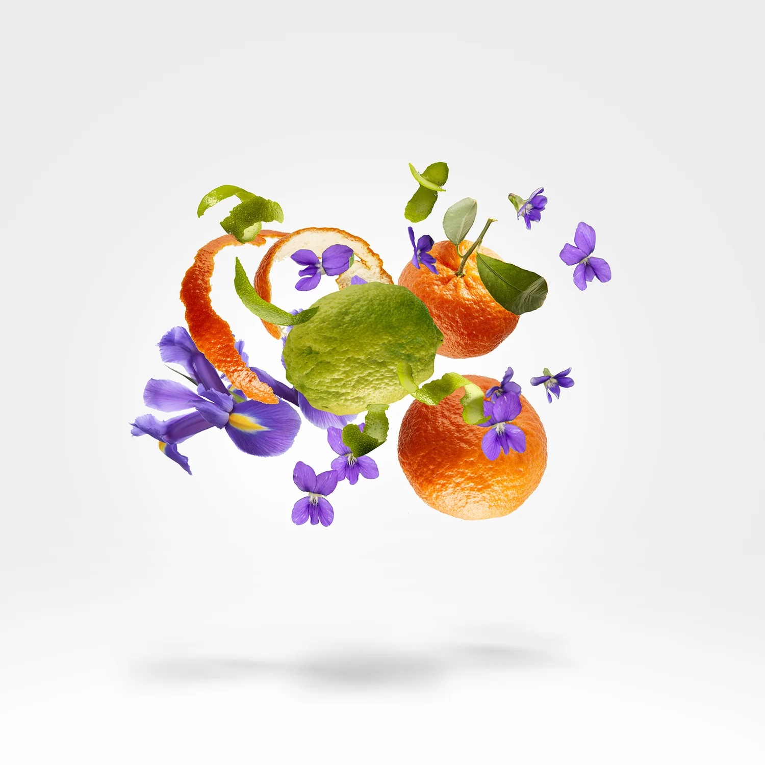 LUNA - xerjoff-luna-notes.webp