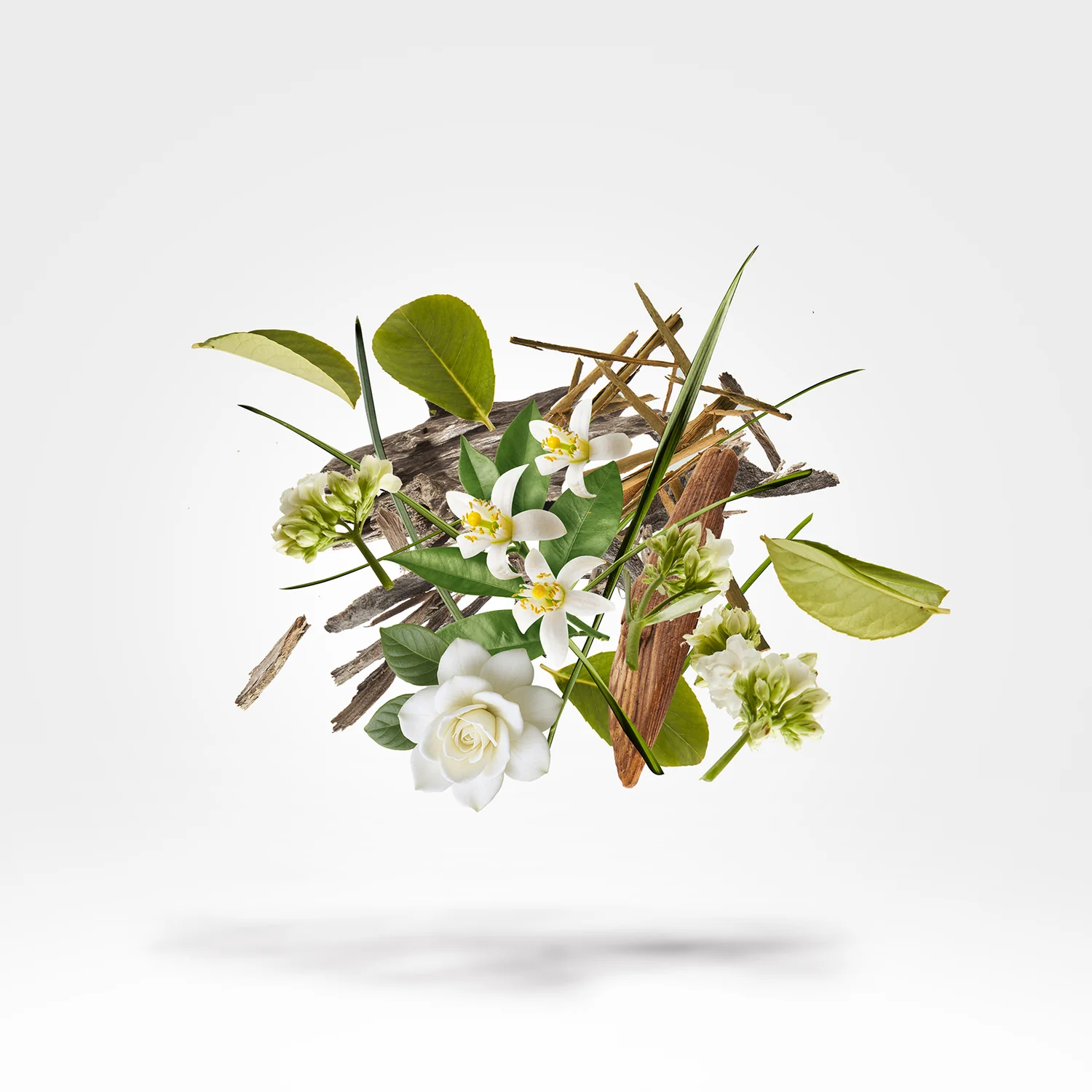 LUNOSA - xerjoff-lunosa-notes.webp