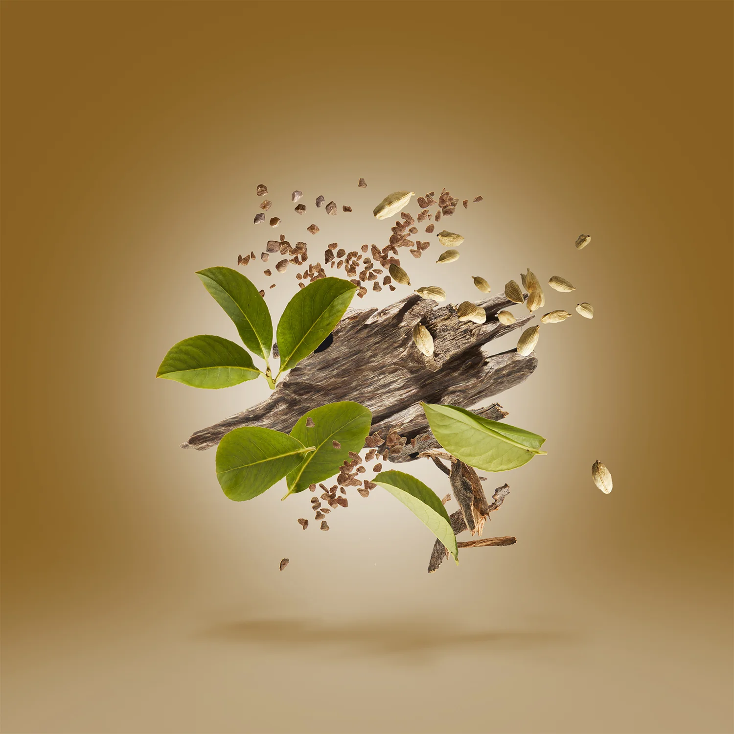 LUXOR - xerjoff-luxor-notes.webp