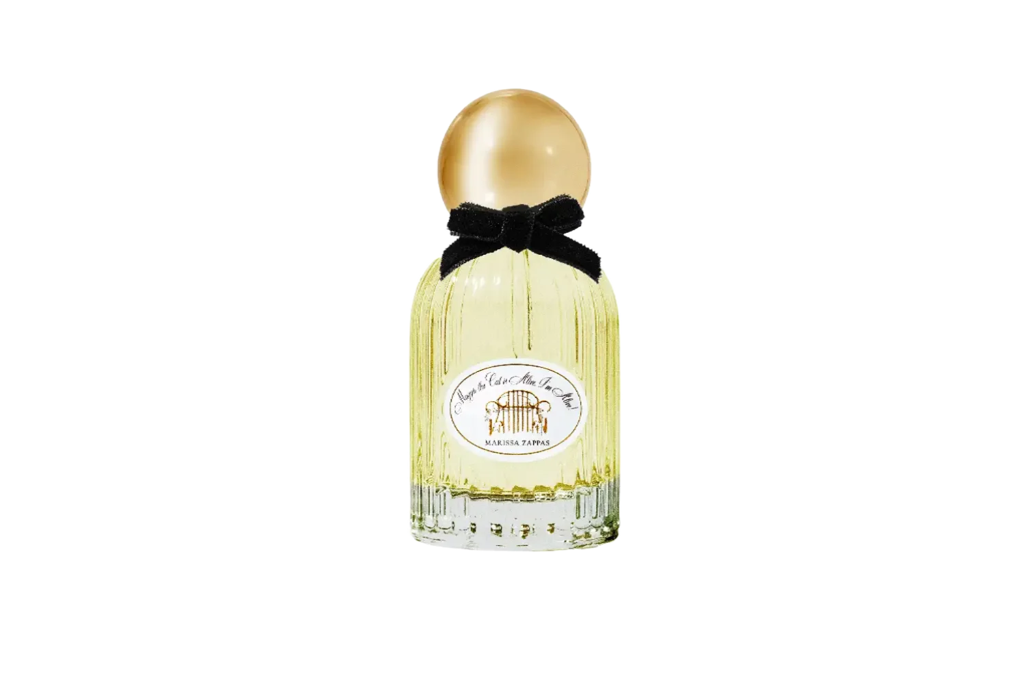 MAGGIE THE CAT IS ALIVE, I'M ALIVE!