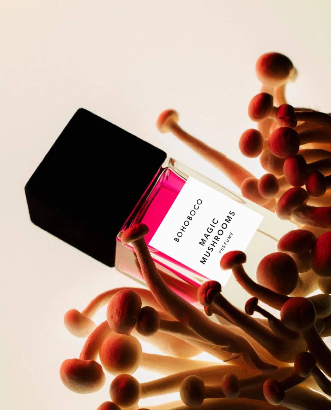 Magic Mushrooms - BOHOBOCOMagicMushrooms3_1080x.webp