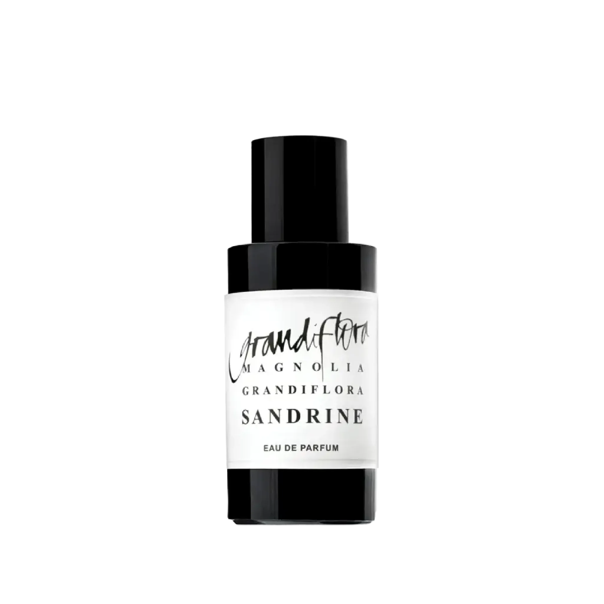 Grandiflora Magnolia - Sandrine