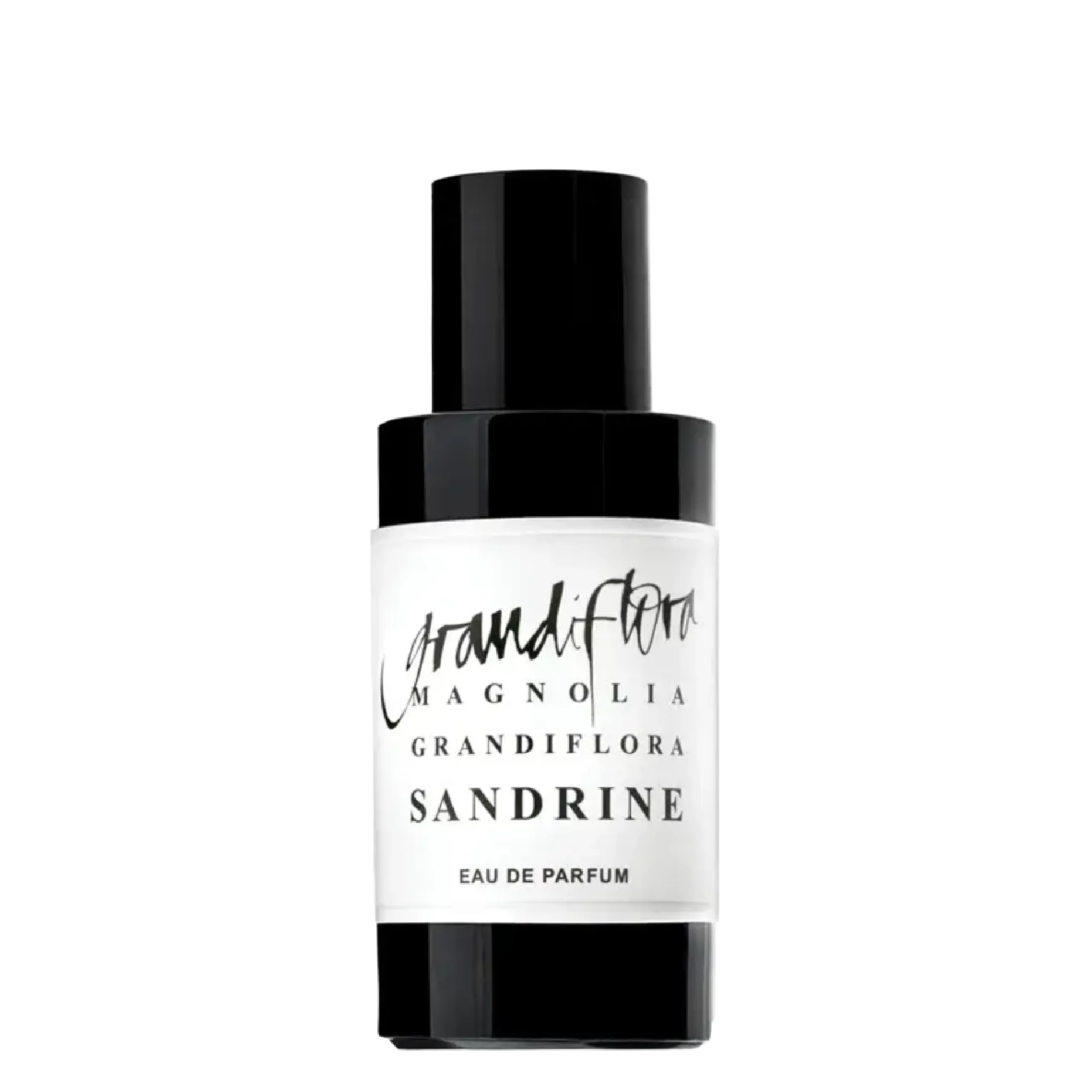 Grandiflora Magnolia - Sandrine - alternate view