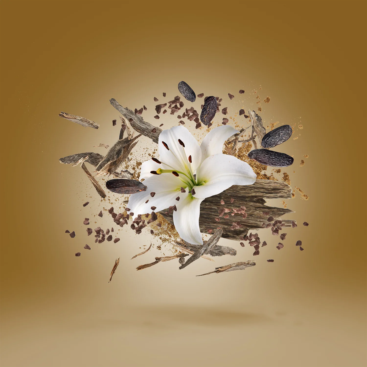 MALESIA - xerjoff-malesia-notes.webp