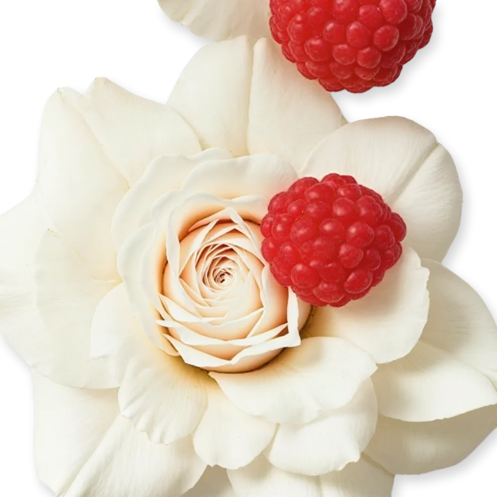 MELIORA - MELIORA-PERFUME-75-PACK4-1x1_1.webp