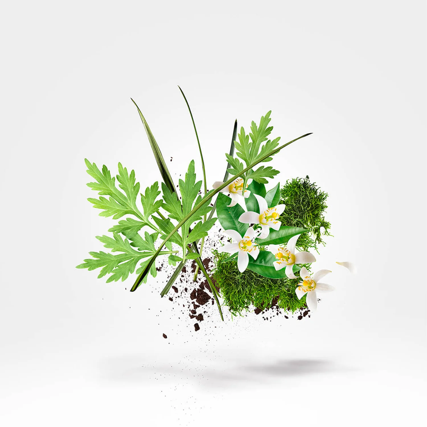 MODOC - xerjoff-modoc-notes.webp