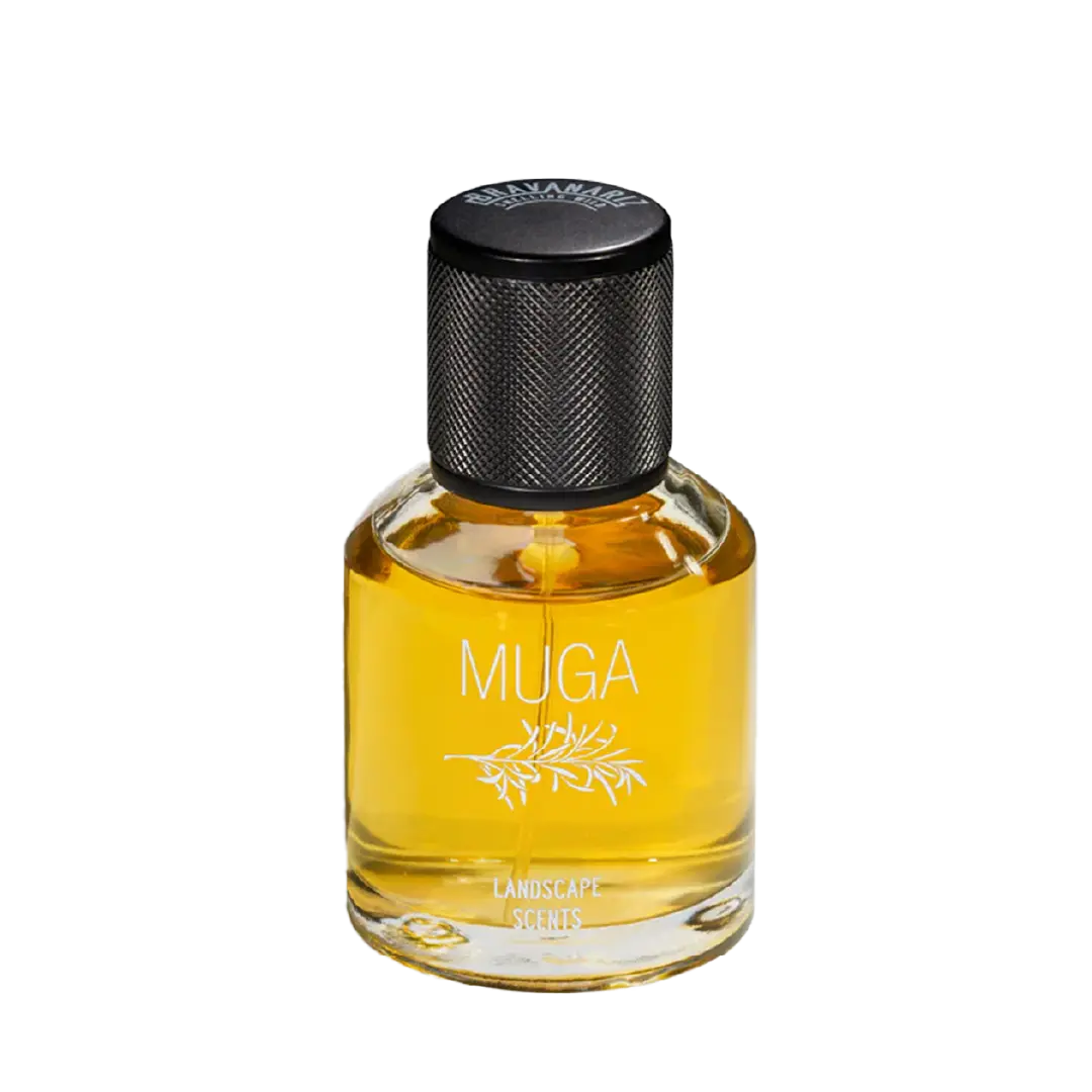 MUGA - image_ba810621-b977-4604-ab4f-ada31671e8ee_1080x@1.5x.webp