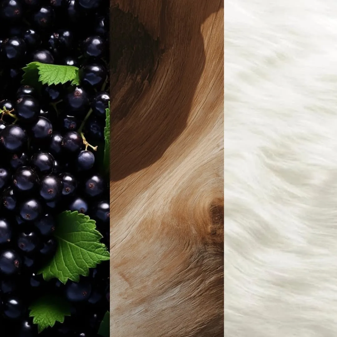 MUSC MOSCHUS - 31.jpg