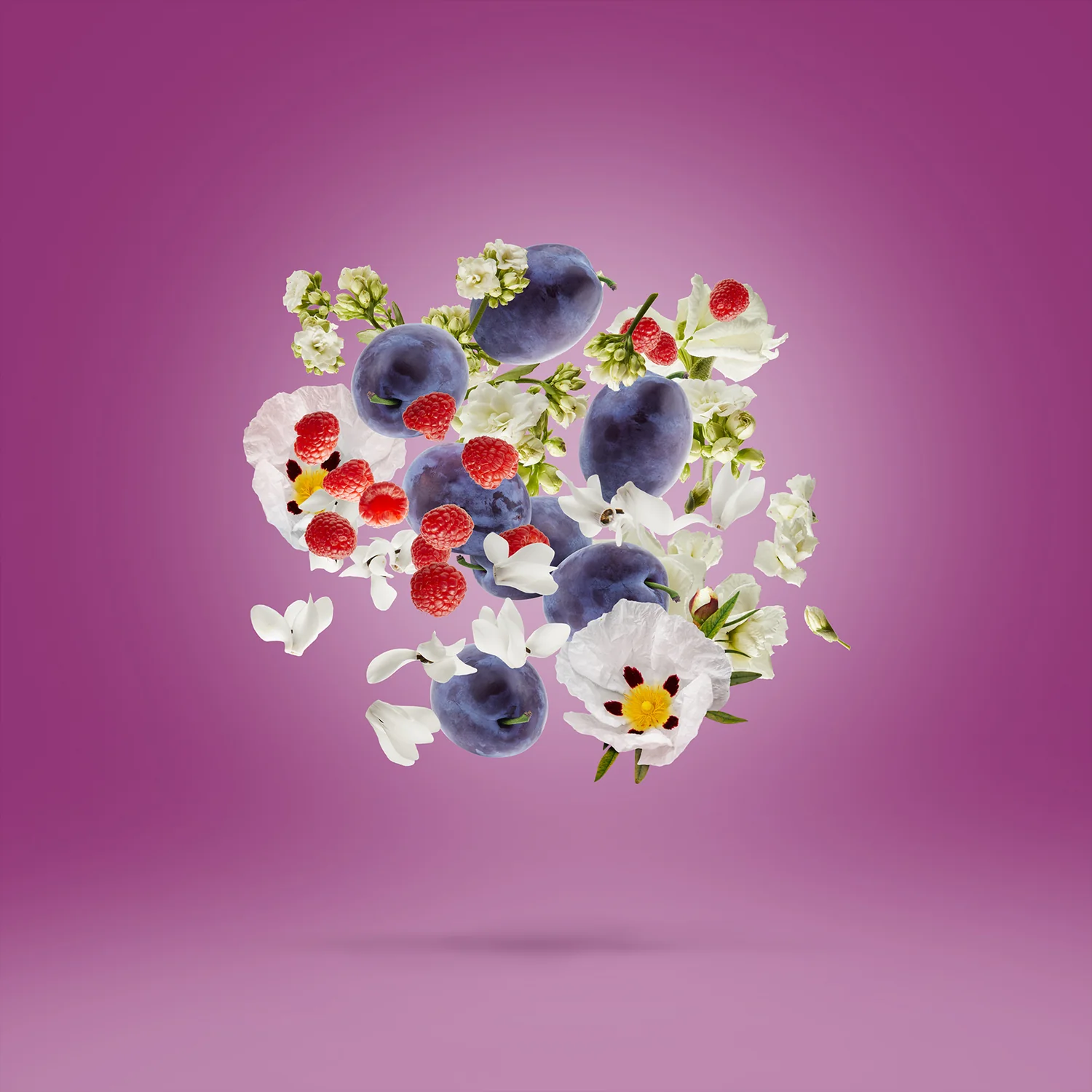 MUSE - xerjoff-muse-notes.webp