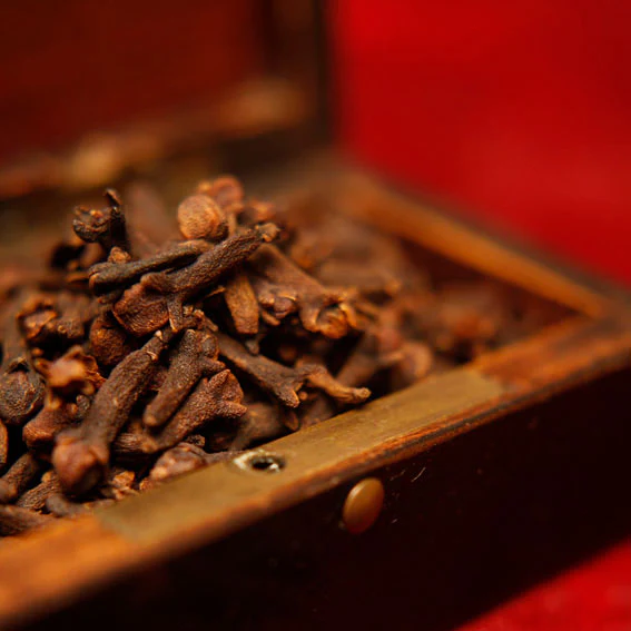 NANBAN - 12.-Nanban_904ff385-f803-4f85-ad72-3a6f59b94b49_1024x1024@2x.webp