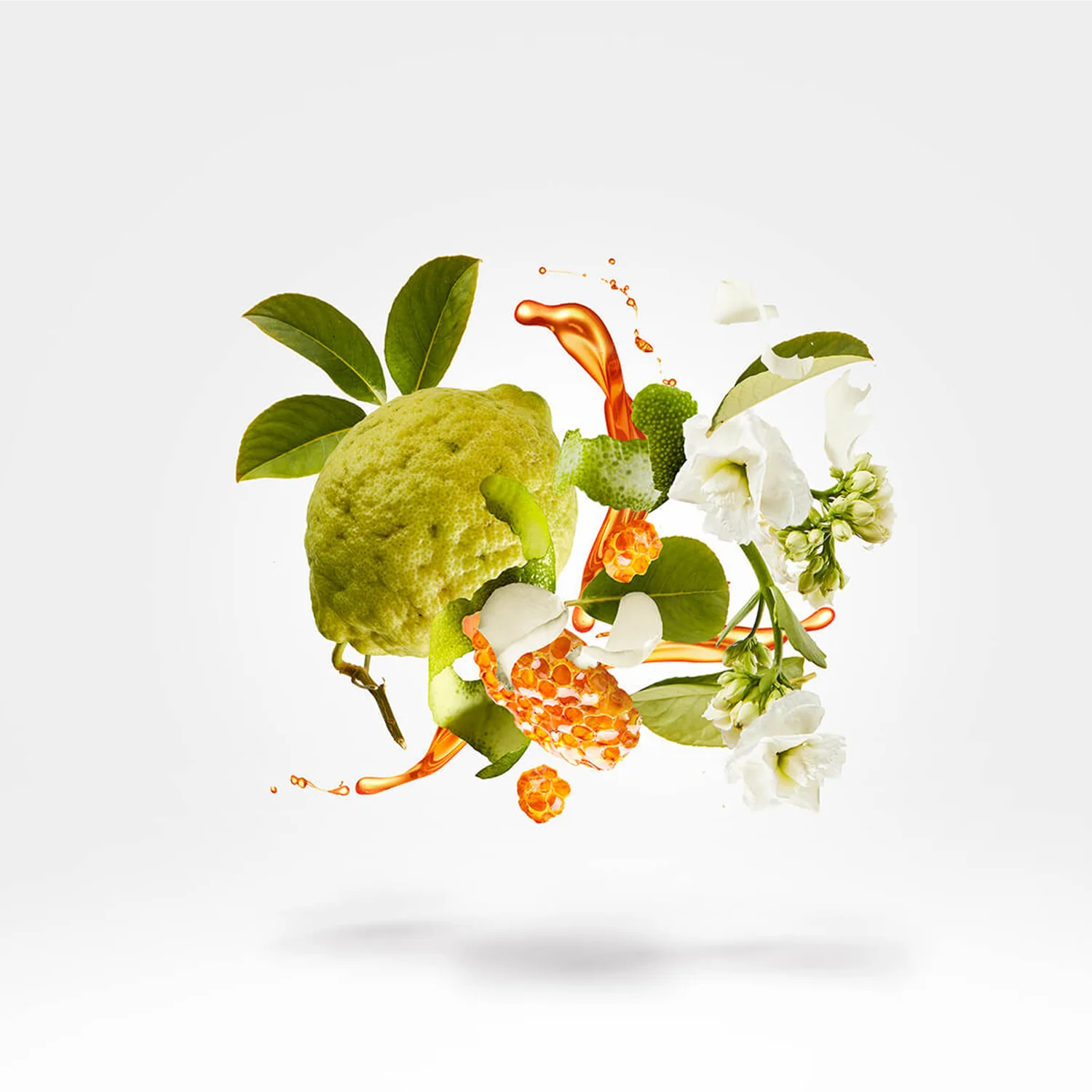 NAXOS GIFT SET - xerjoff-naxos-notes.webp