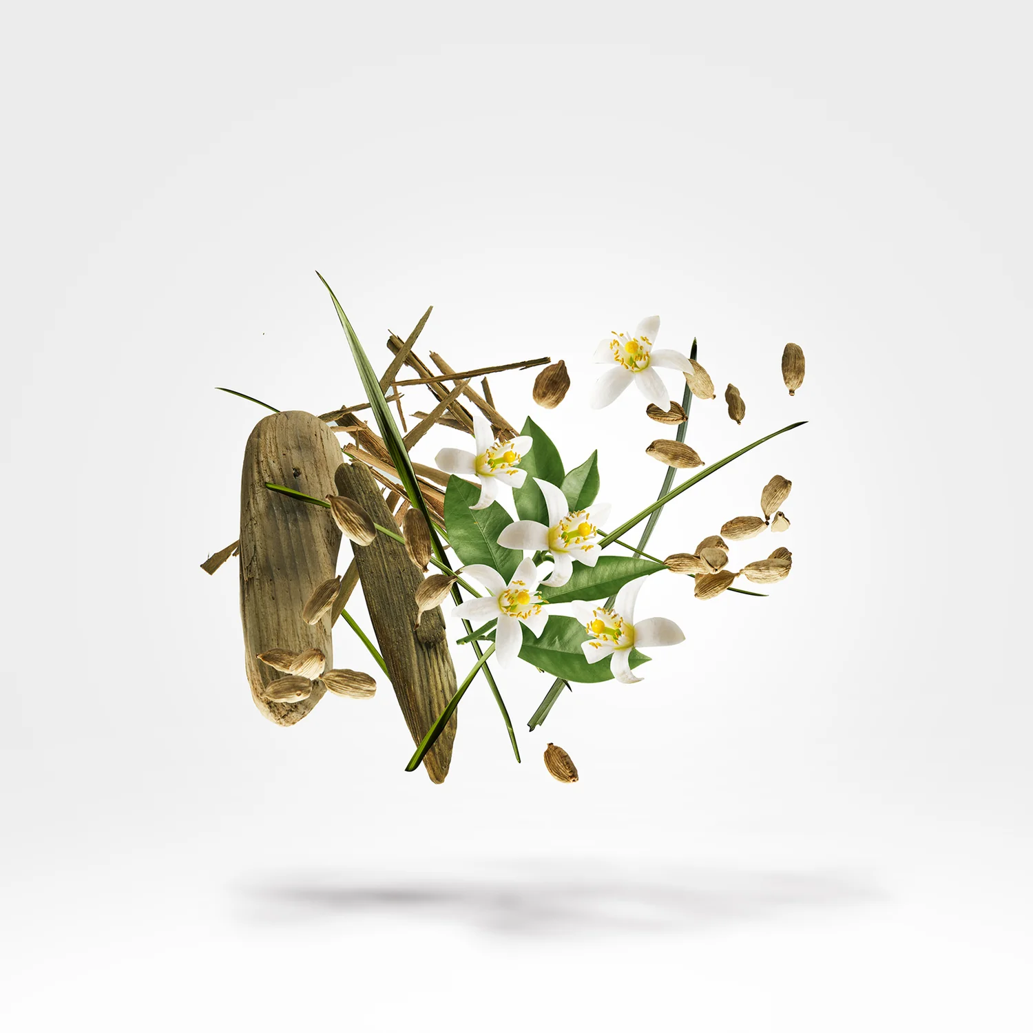 NIO - xerjoff-nio-notes.webp