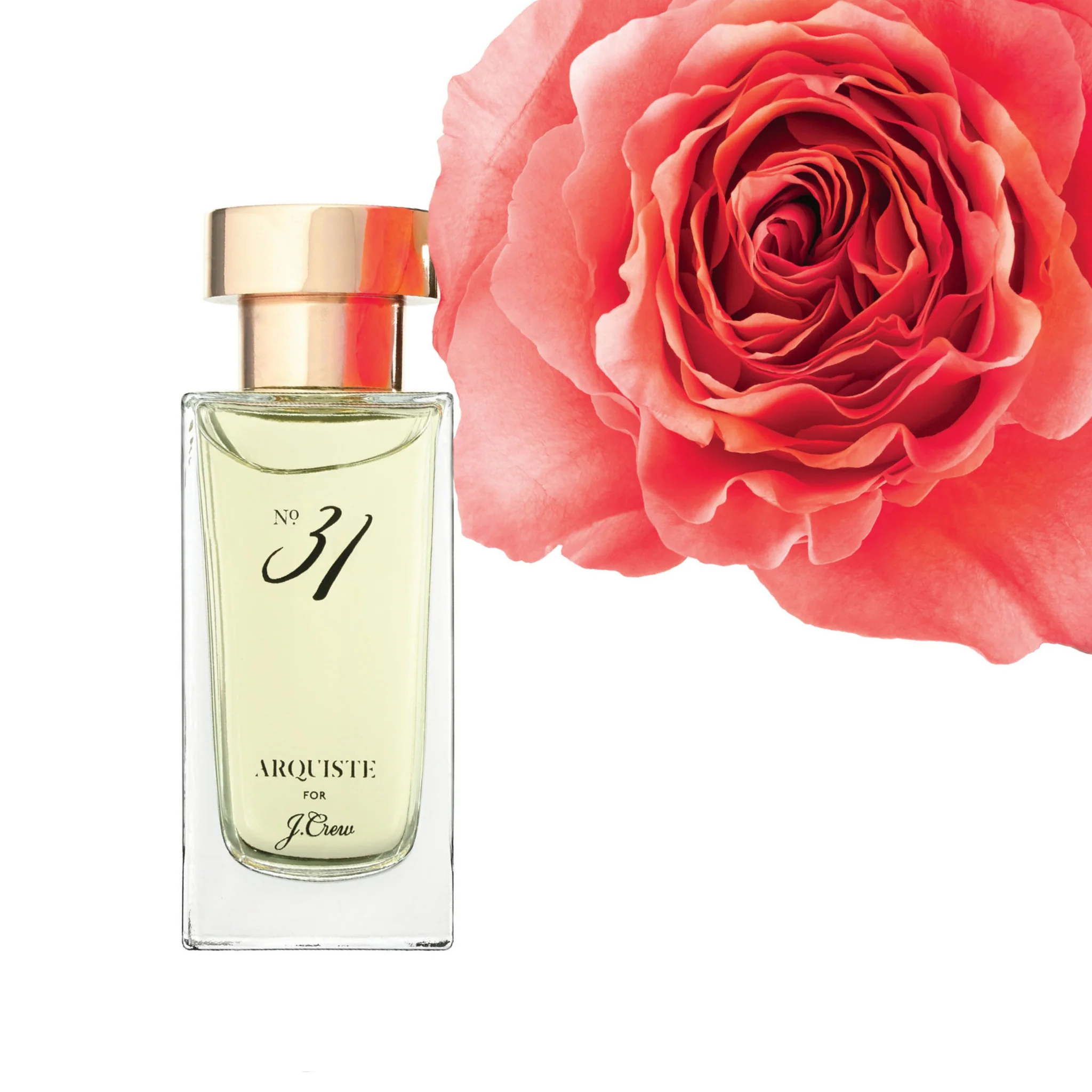 No.31 - No.31_notes_1024x1024@2x.webp