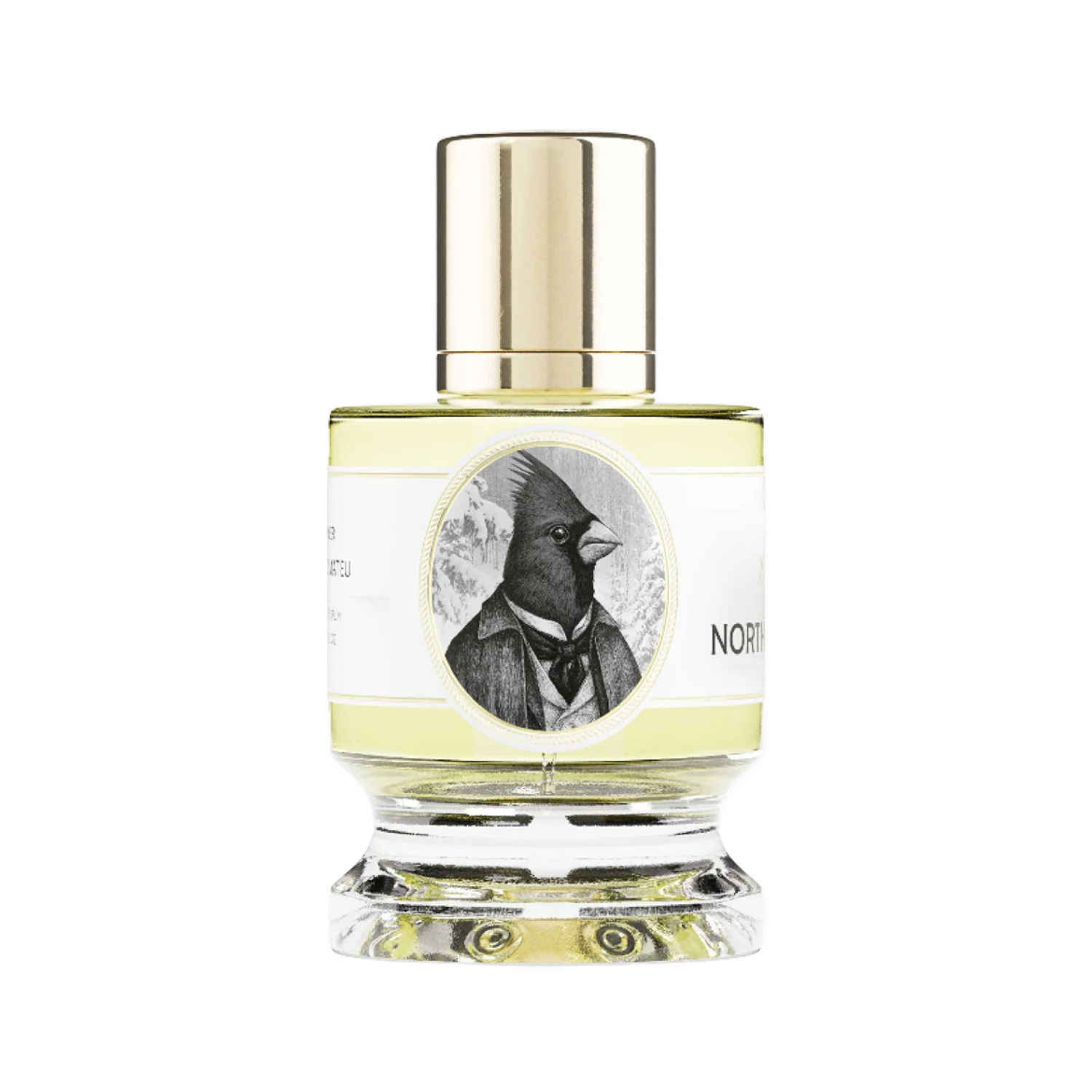 NORTHERN CARDINAL - zoologist-northern-cardinal-merged-4-1767198429596.png