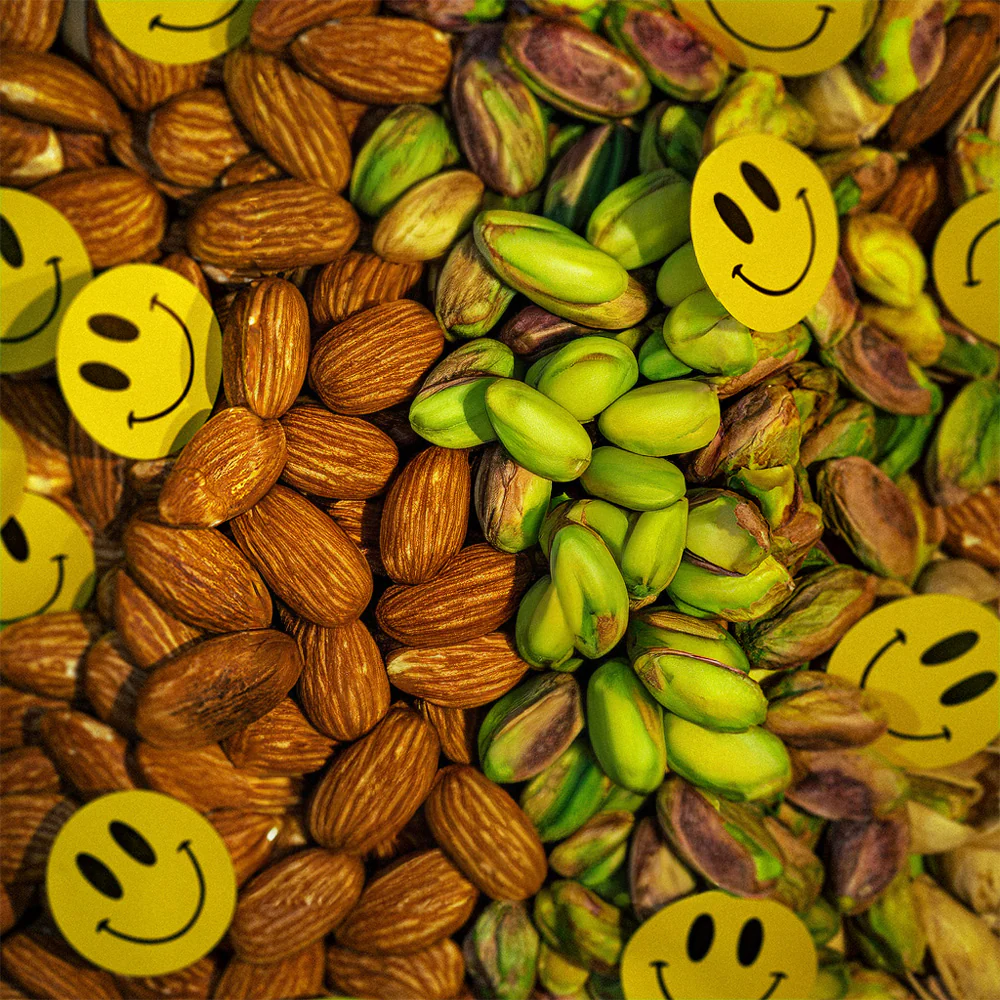 NUTS - grid03_c595b186-0f12-41ff-8c8d-4581a51bcd26.webp