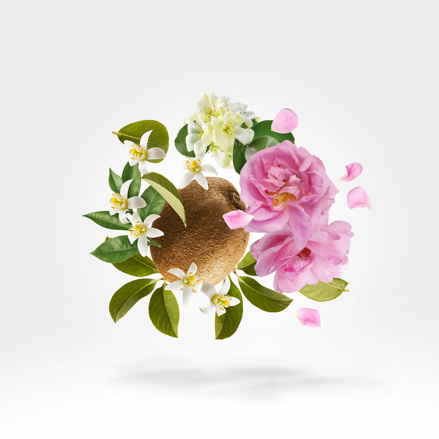 OESEL - xerjoff-oesel-notes.webp