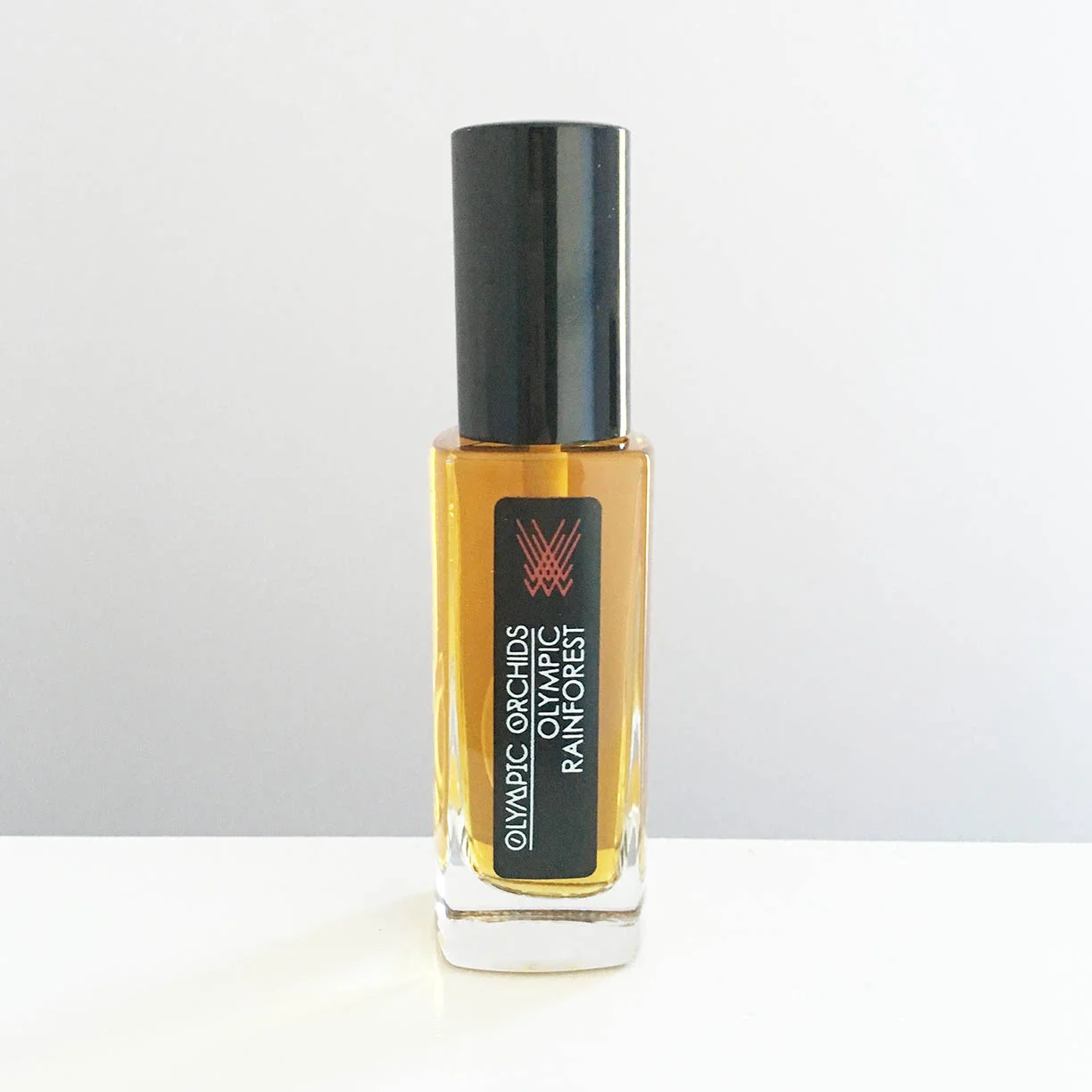 OLYMPIC RAINFOREST - Olympic-Rainforest-2017.jpg