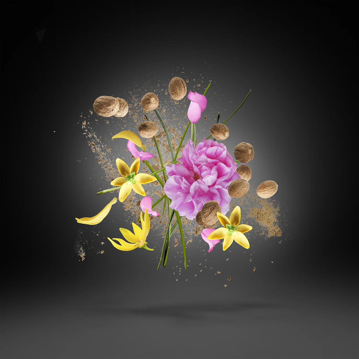 OPERA - xerjoff-opera-notes.webp