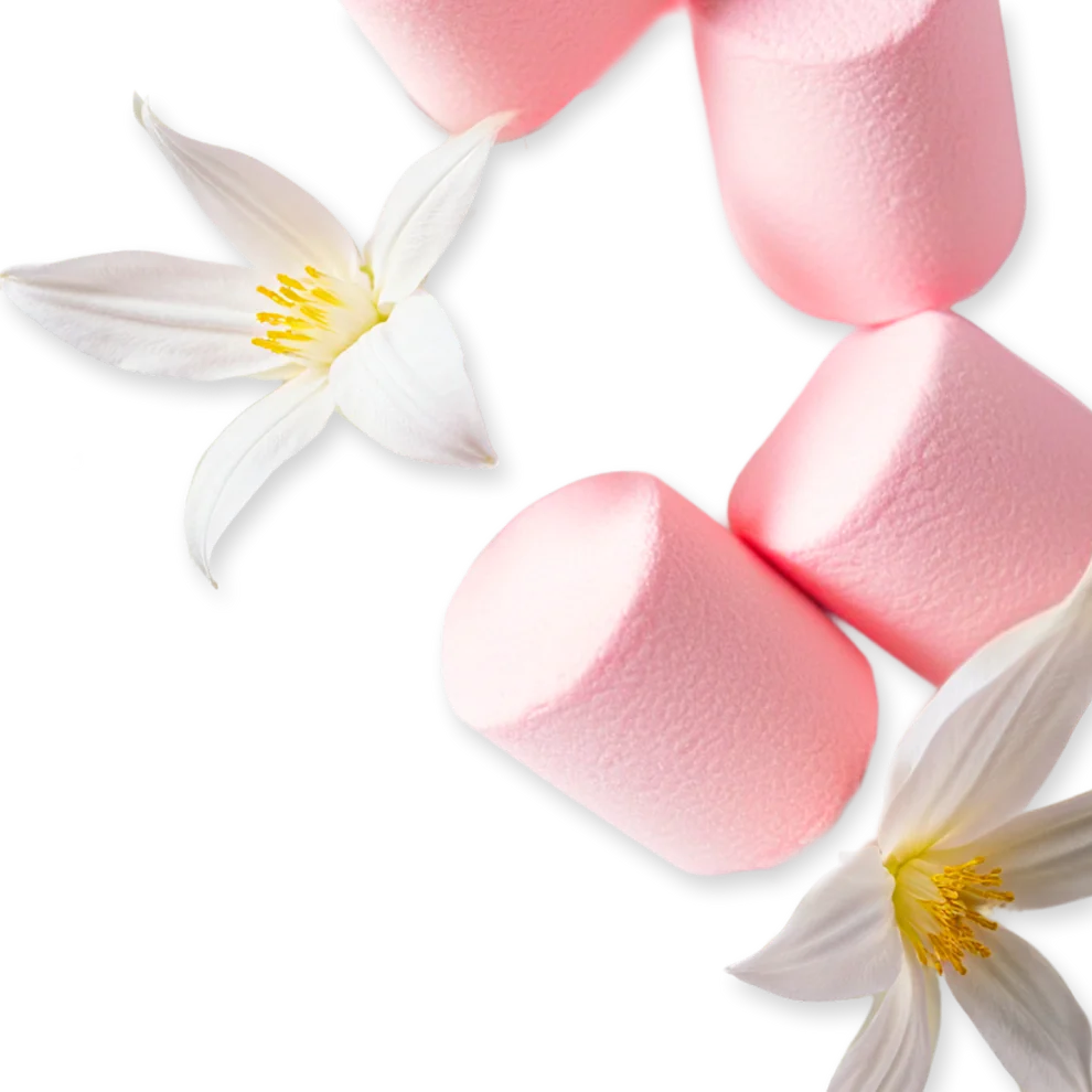 ORIANA - ORIANA-PERFUME-75-PACK4-1x1_1.webp