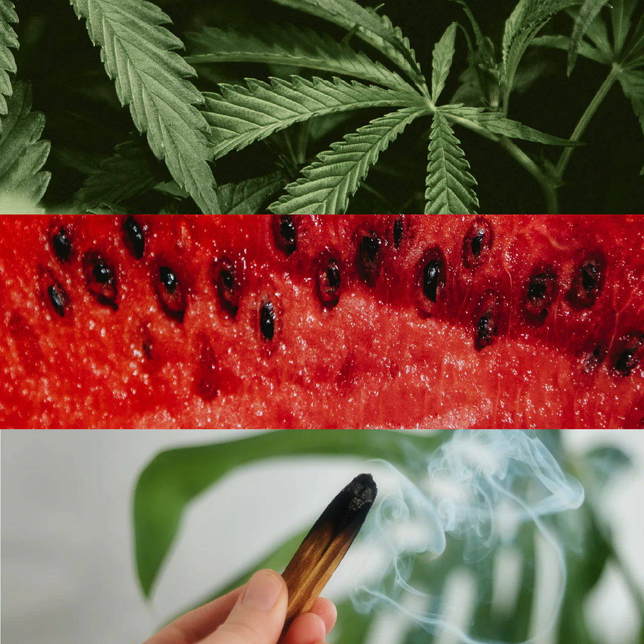 ORO VERDE - OROIngredients_1296x.webp