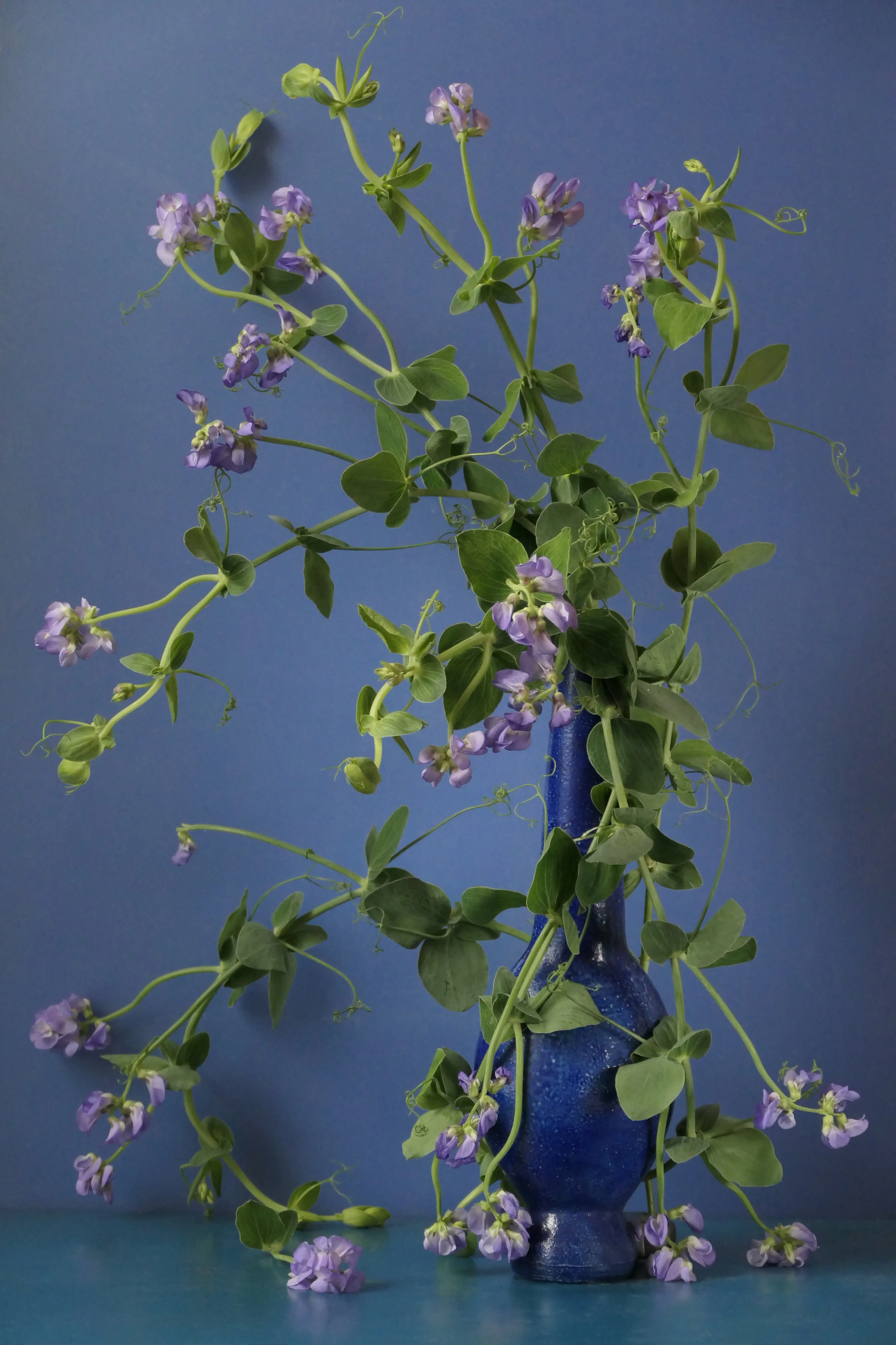 OUD DUKHAN - L2224758.webp