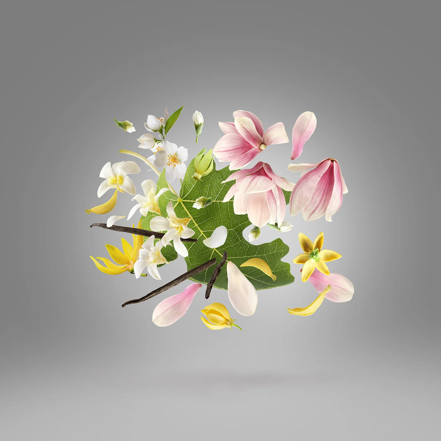 OUVERTURE - xerjoff-ouverture-notes.webp