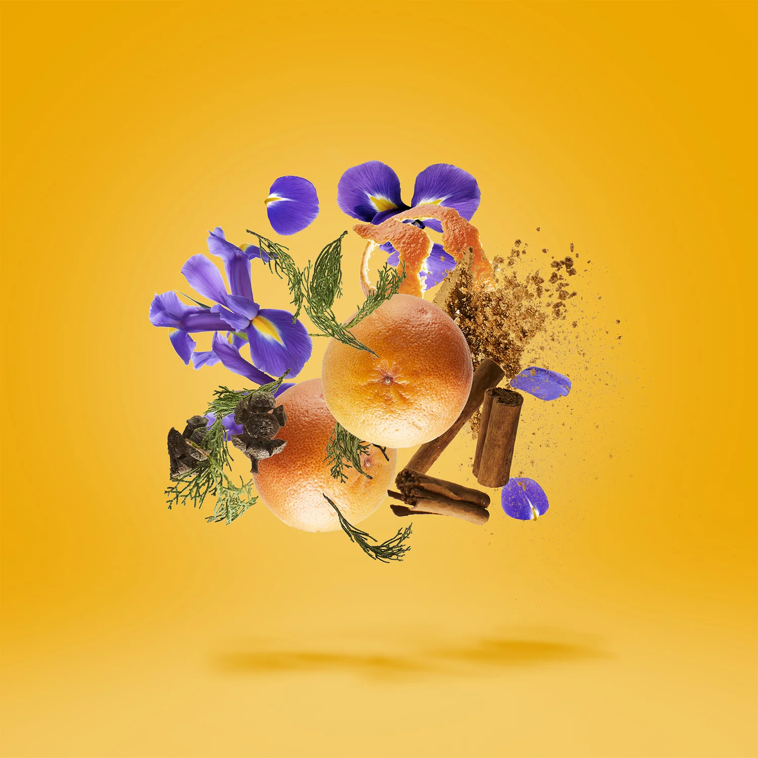 P.33 - xerjoff-p33-notes.webp