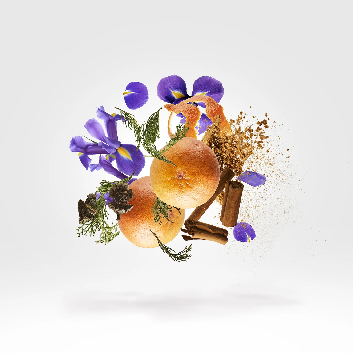 P.33 BLANK PAGE EDITION - xerjoff-p33blank-notes.webp