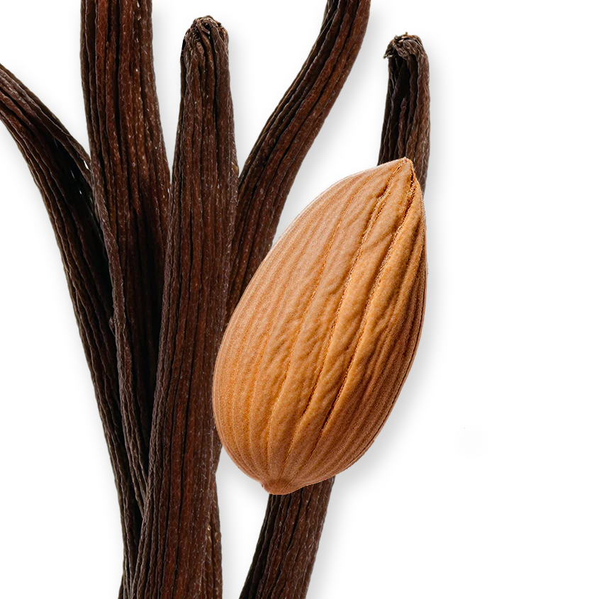 PEGASUS - PEGASUS-PERFUME-125-PACK4-1x1_1_7c247c3c-9dc1-49ce-83a5-75f75265bca8.webp