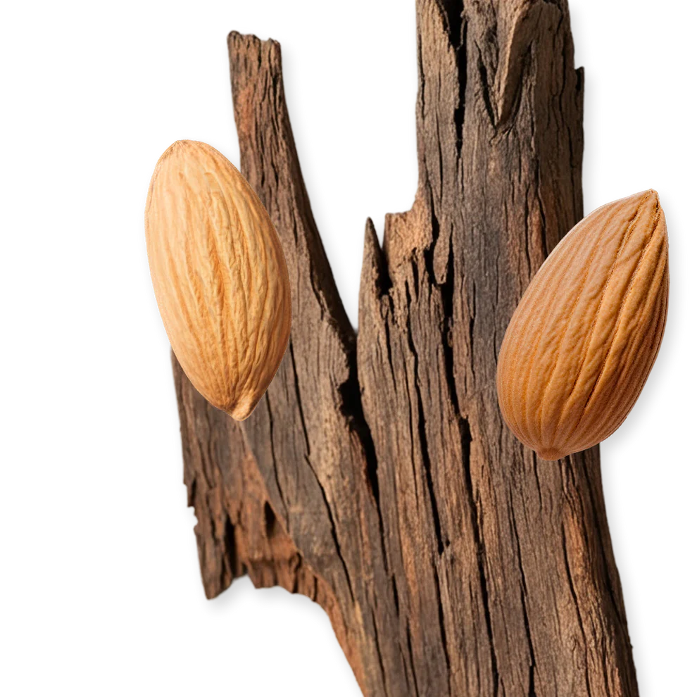 PEGASUS EXCLUSIF - PEGASUS-EXCLUSIF-PERFUME-125-PACK4-1x1_1.webp