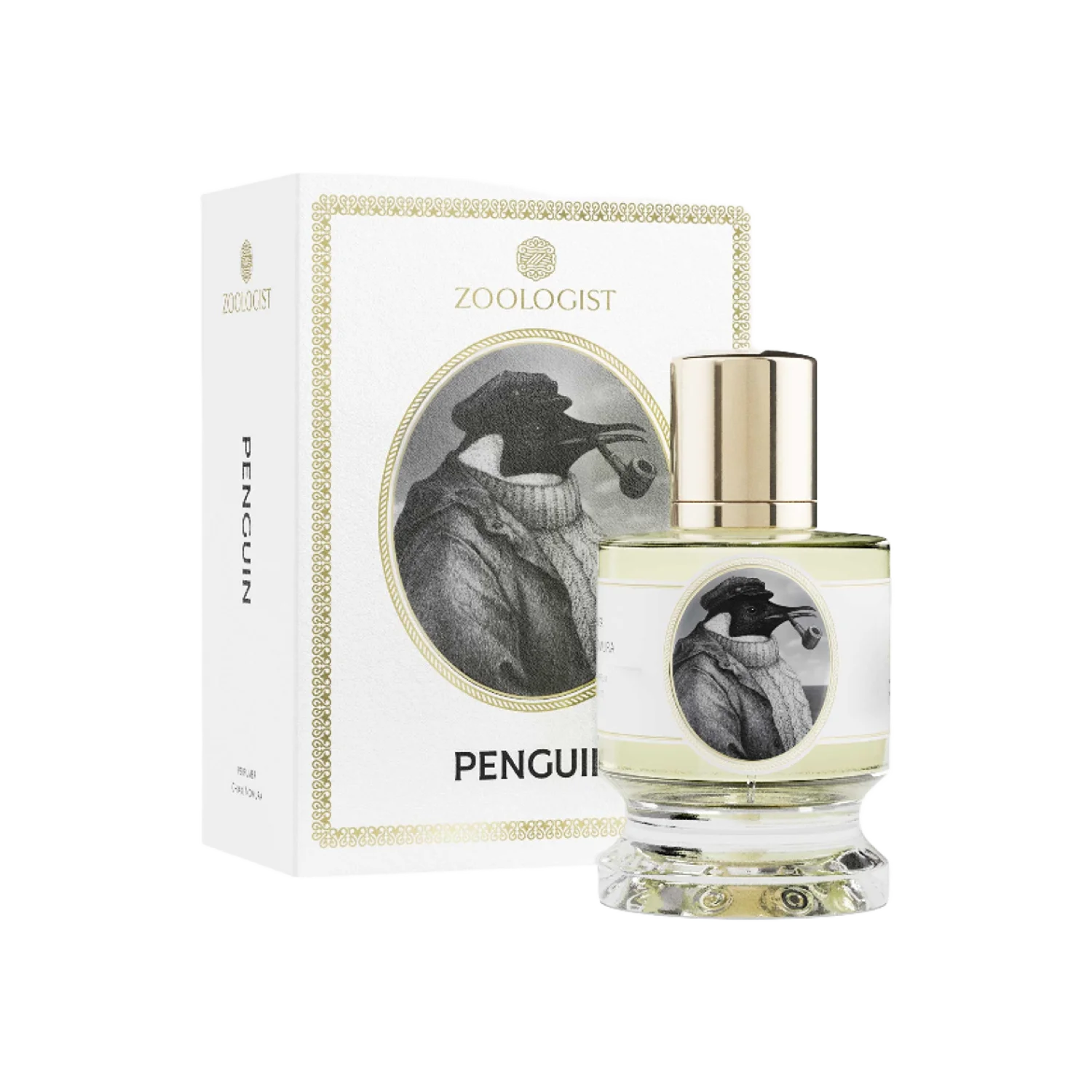 Penguin - zoologist-penguin-merged-4-1767196371559.png