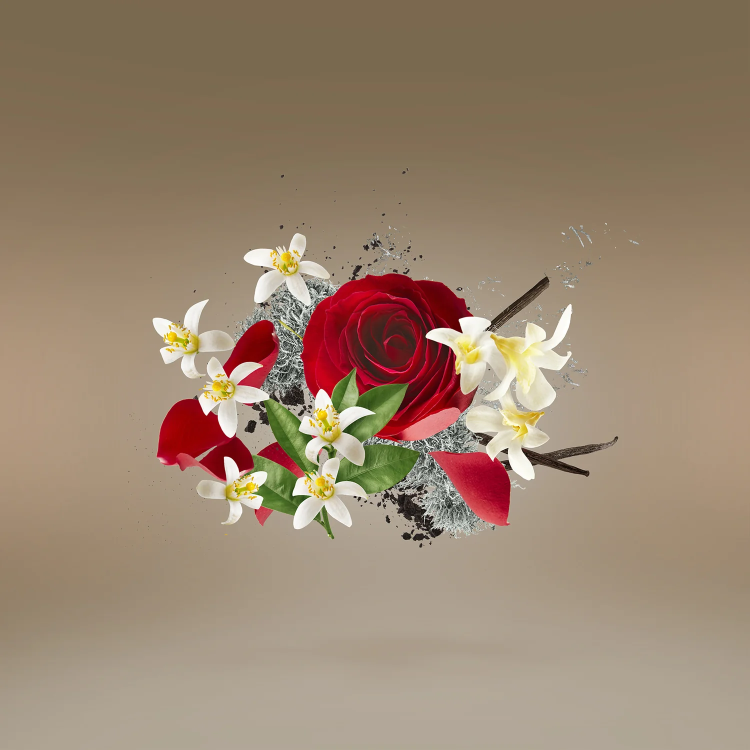 PIKOVAYA DAMA - xerjoff-pikovayadama-notes.webp