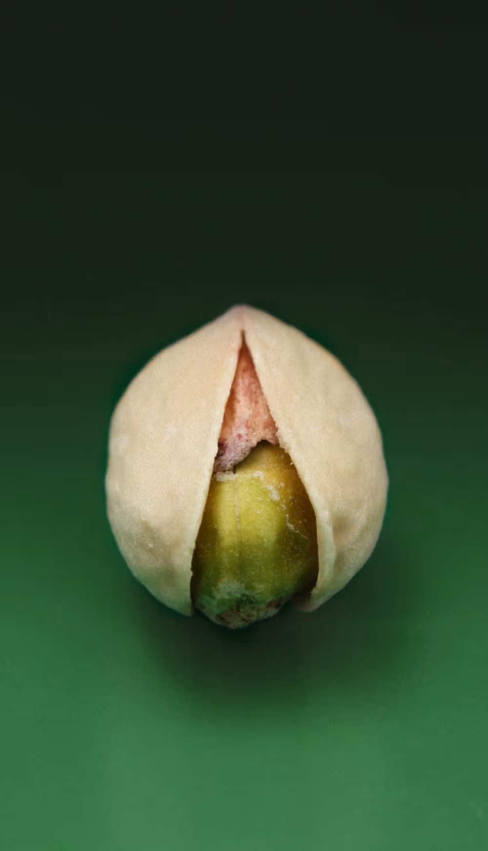 PISTACHIO - 68f0b385de0a233580048084e2f1d2050764d0e5-1482x2580.avif