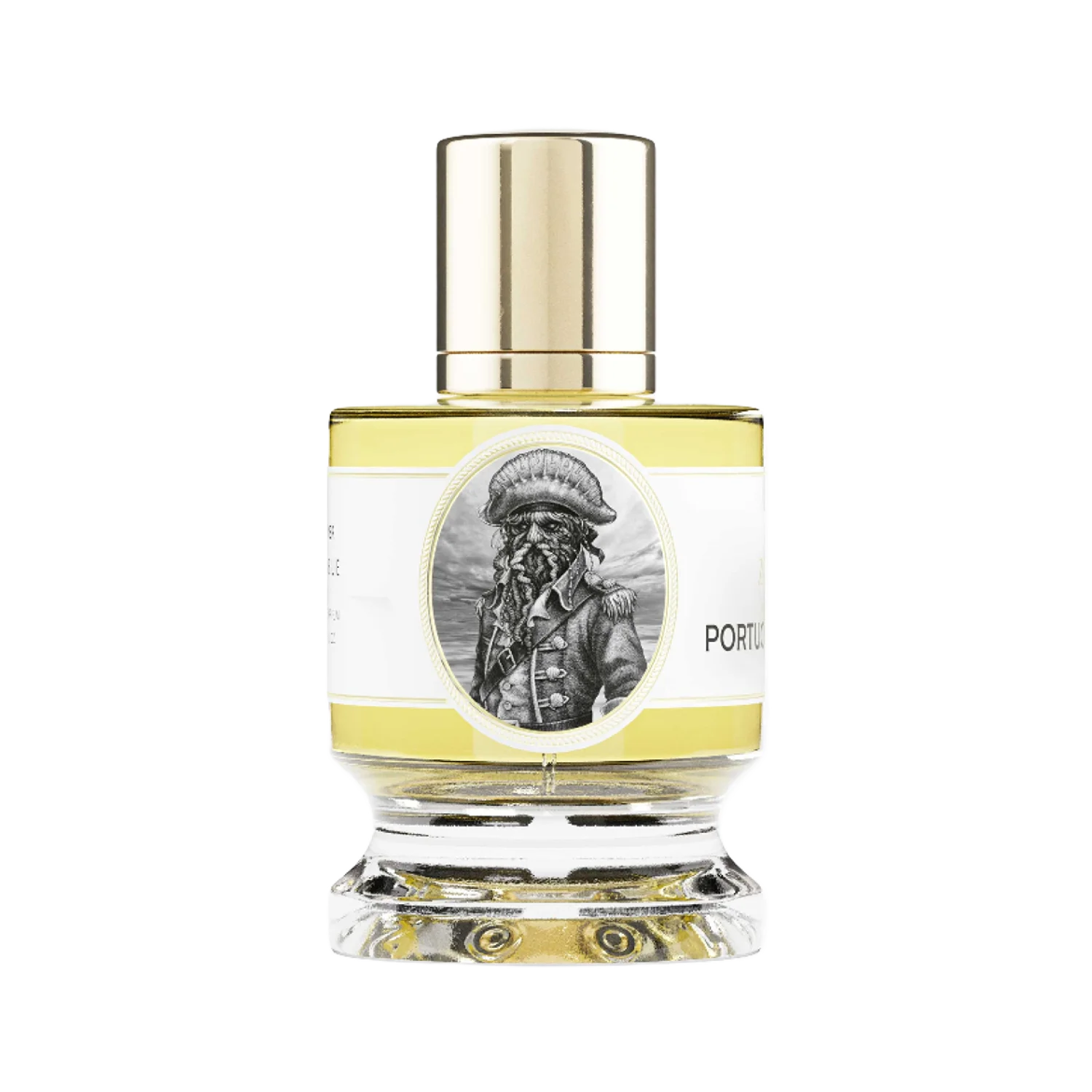 Portuguese Man O' War - zoologist-portuguese-man-o-war-merged-3-1767195801815.png