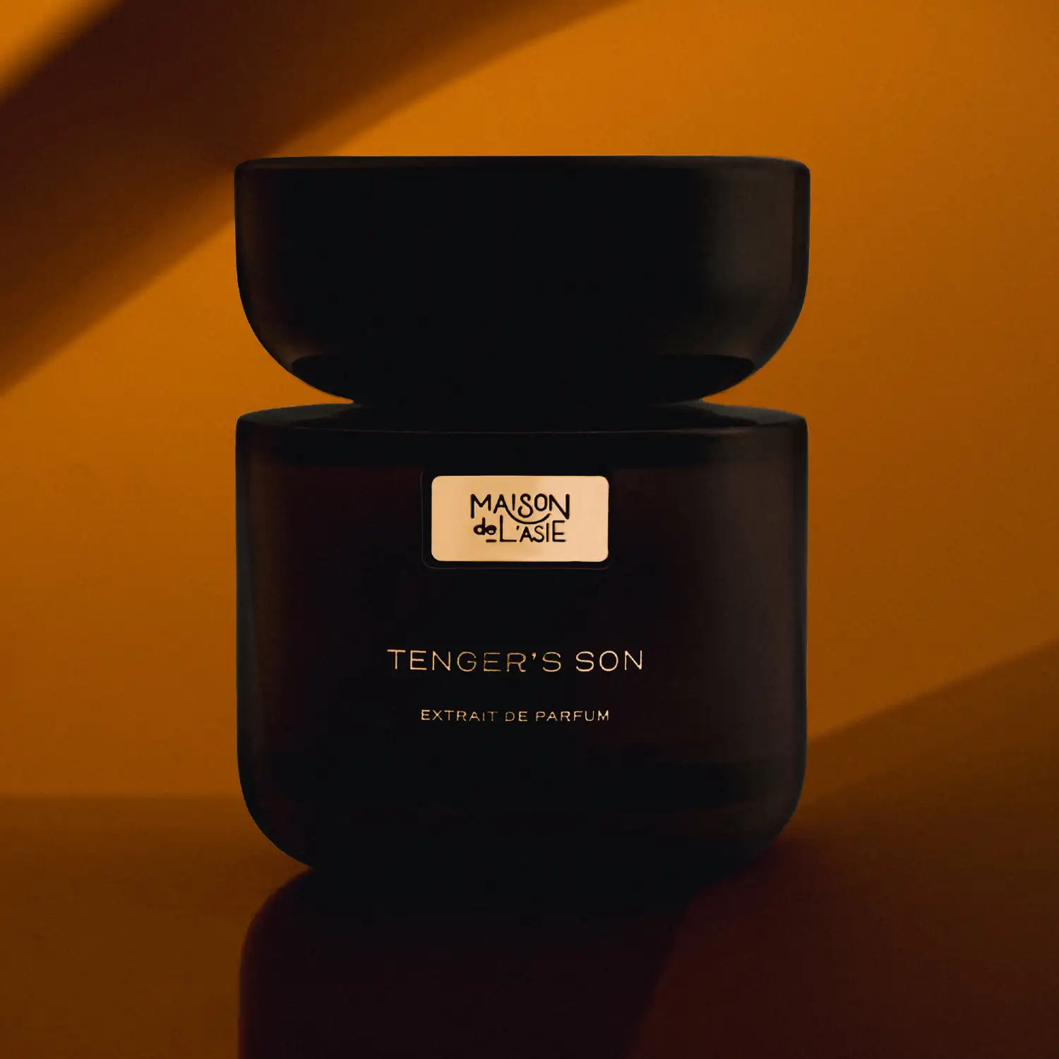 TENGER'S SON EXTRAIT DE - Image