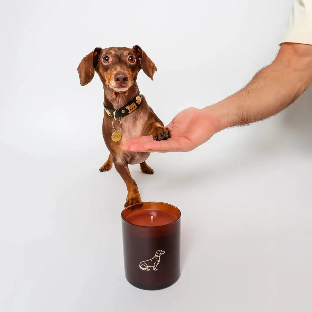 Little Paws Candle - Image