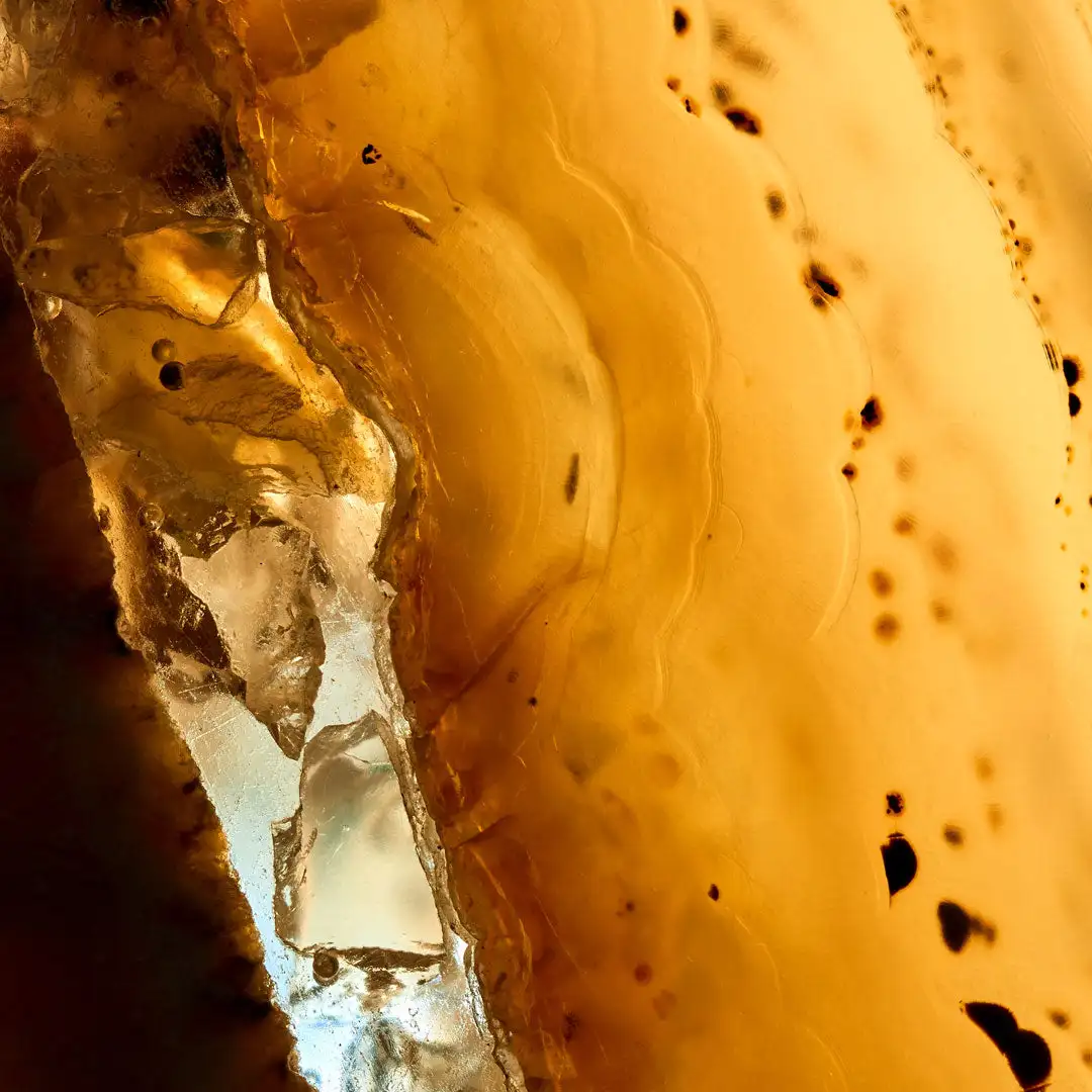 ÉDITIONS DE AMBRE - Image