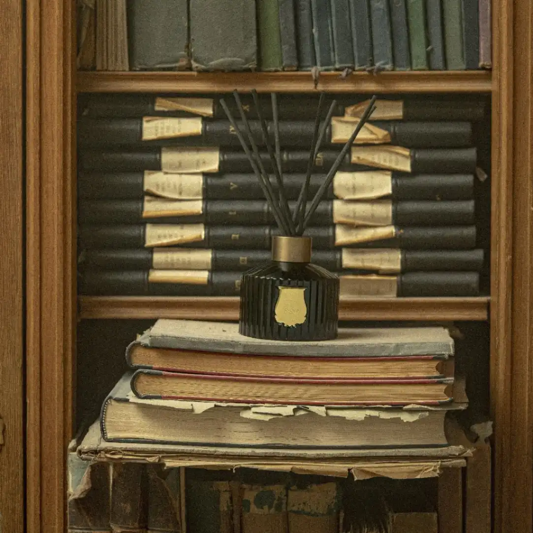 The Diffuser Gabriel - Image